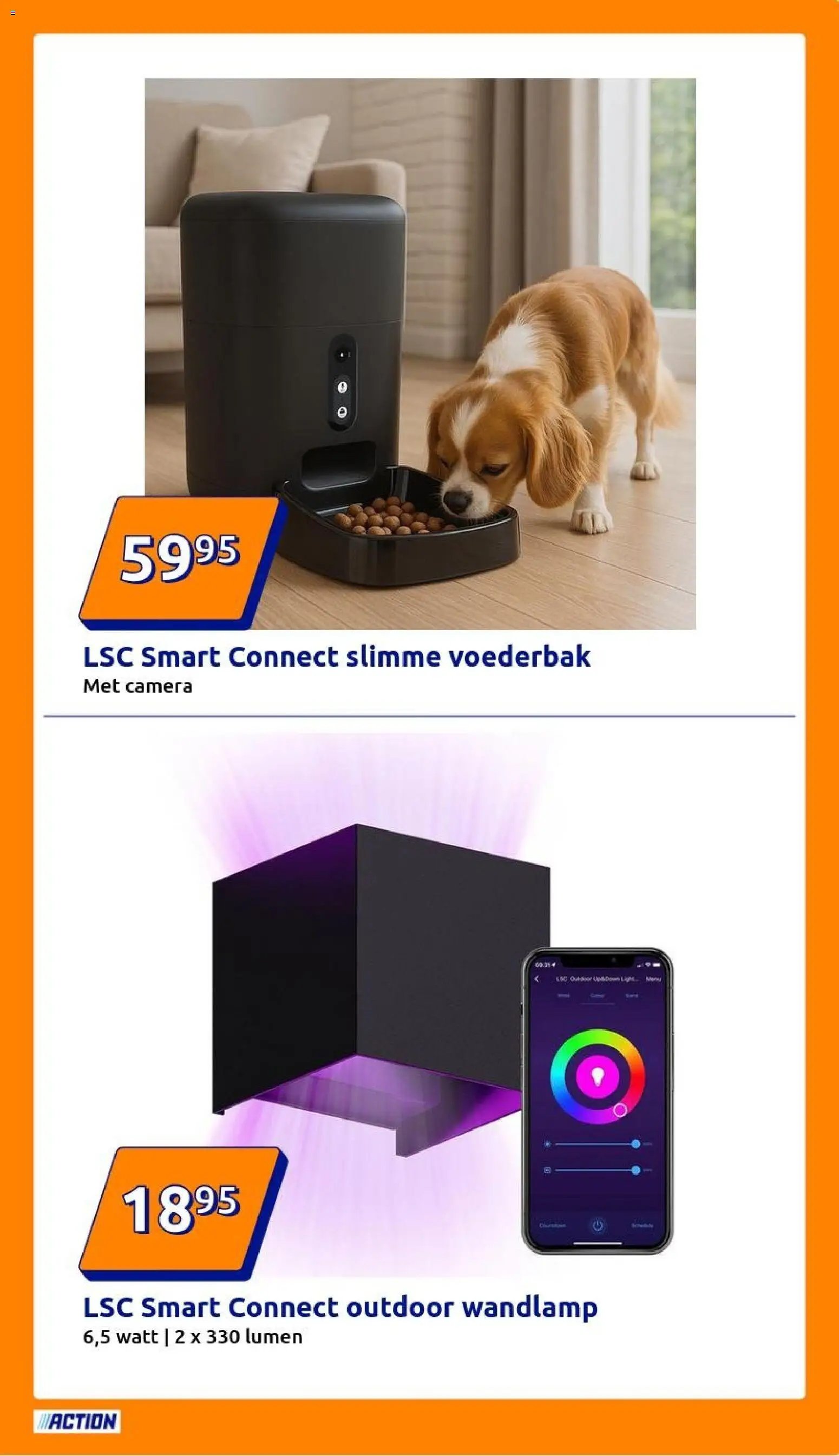 Action folder week 6