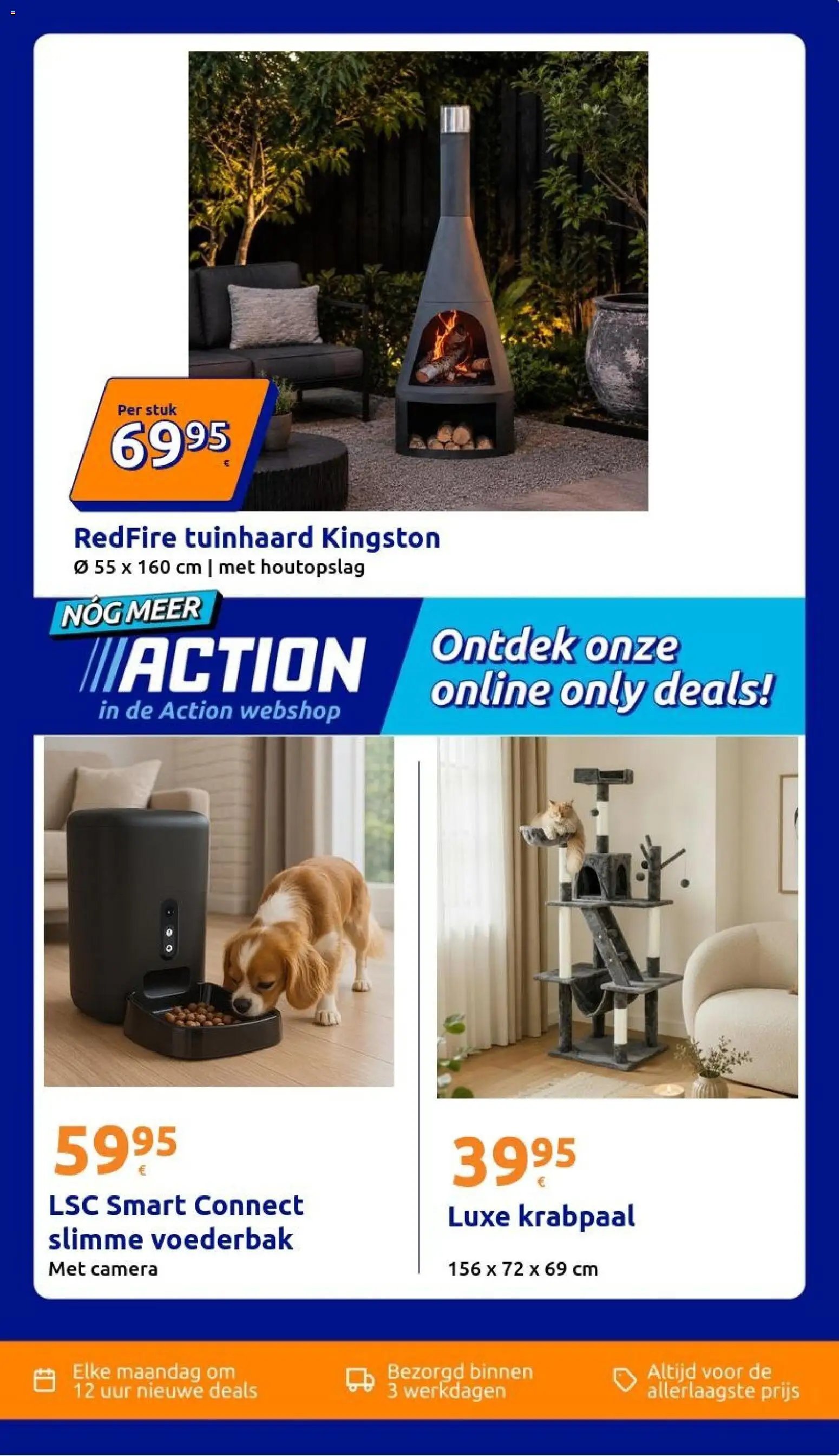Action folder