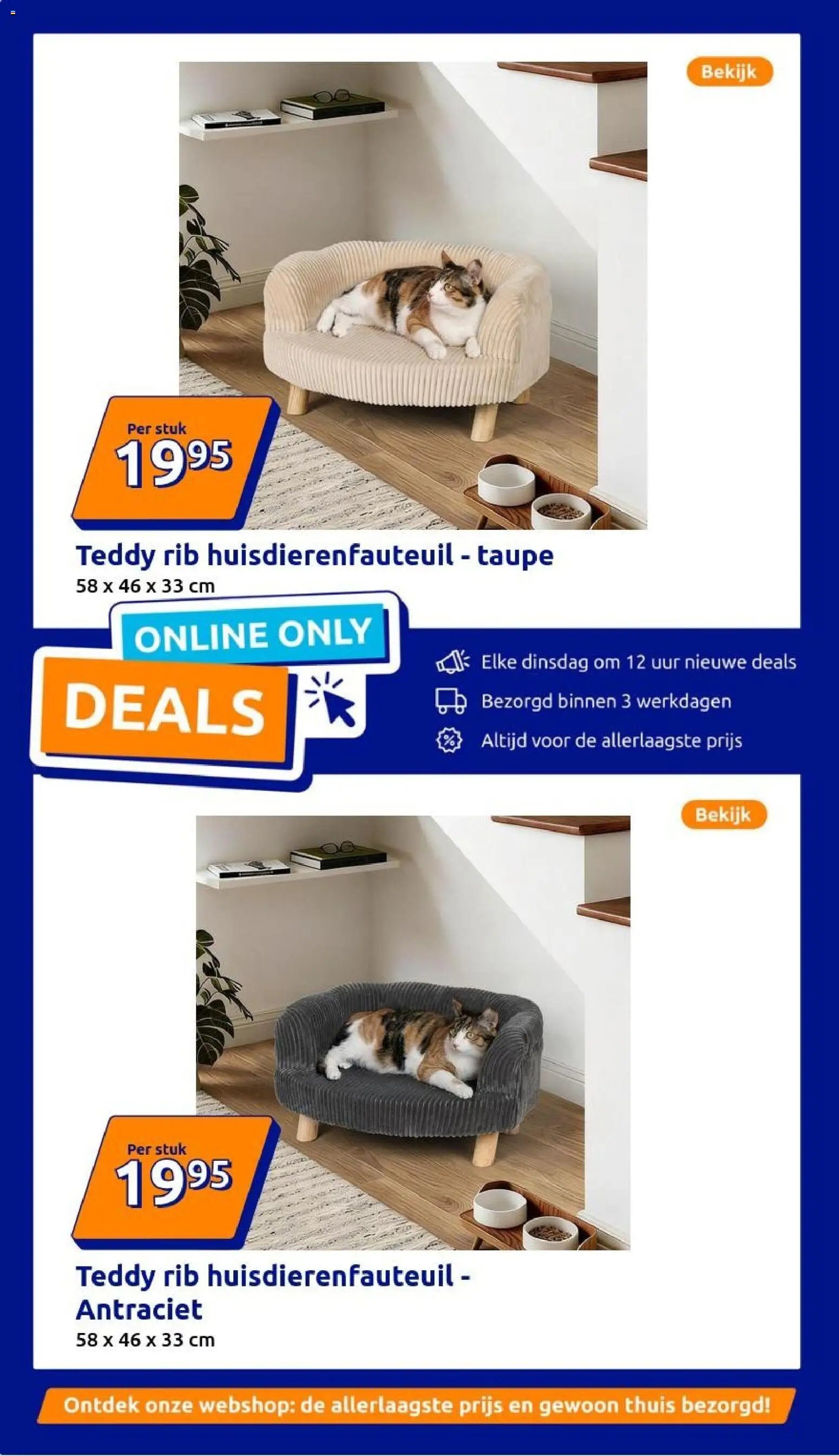 Action folder week 9