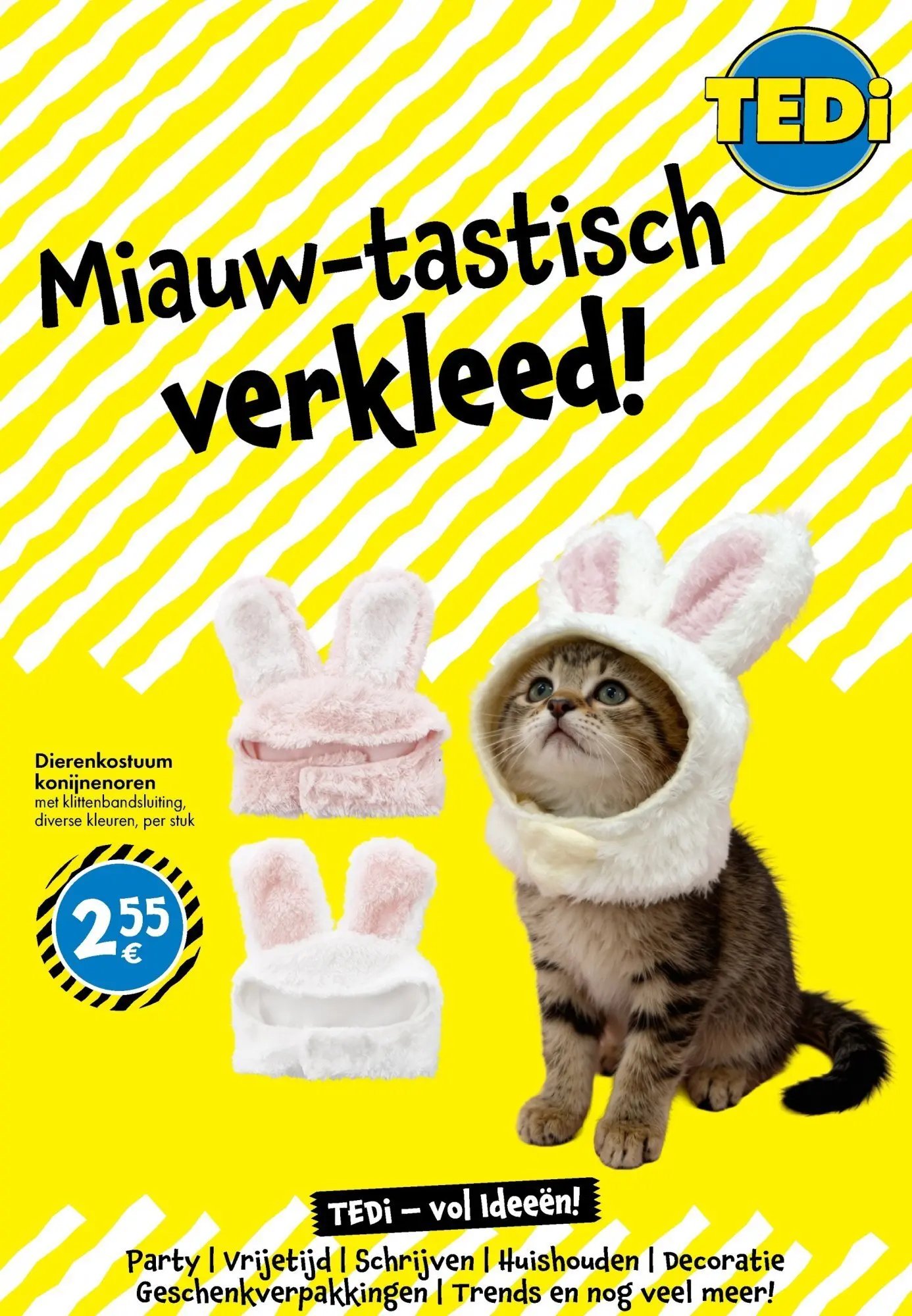 TEDi - TEDi folder tot 07.02.2026