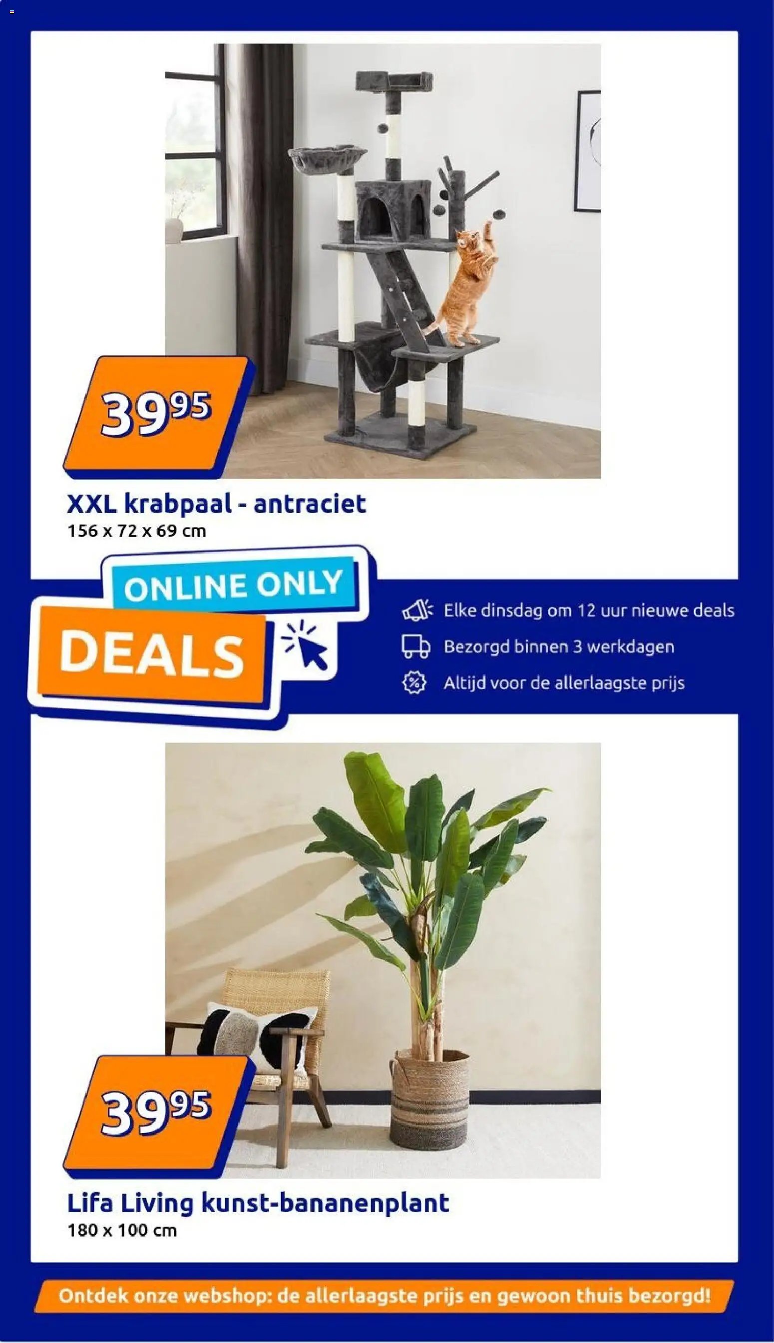 Action folder week 5 (2026-01-28 - 2026-02-03)