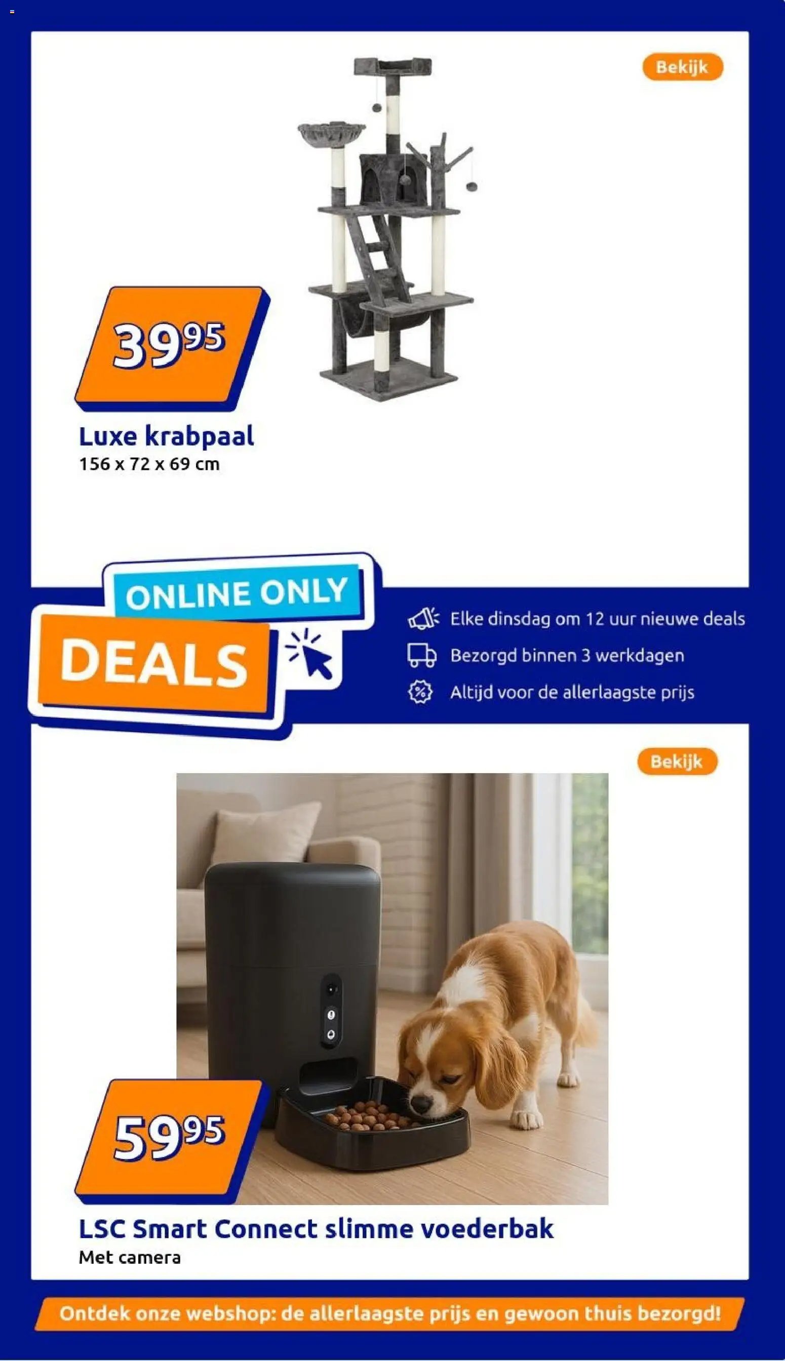 Action folder week 49