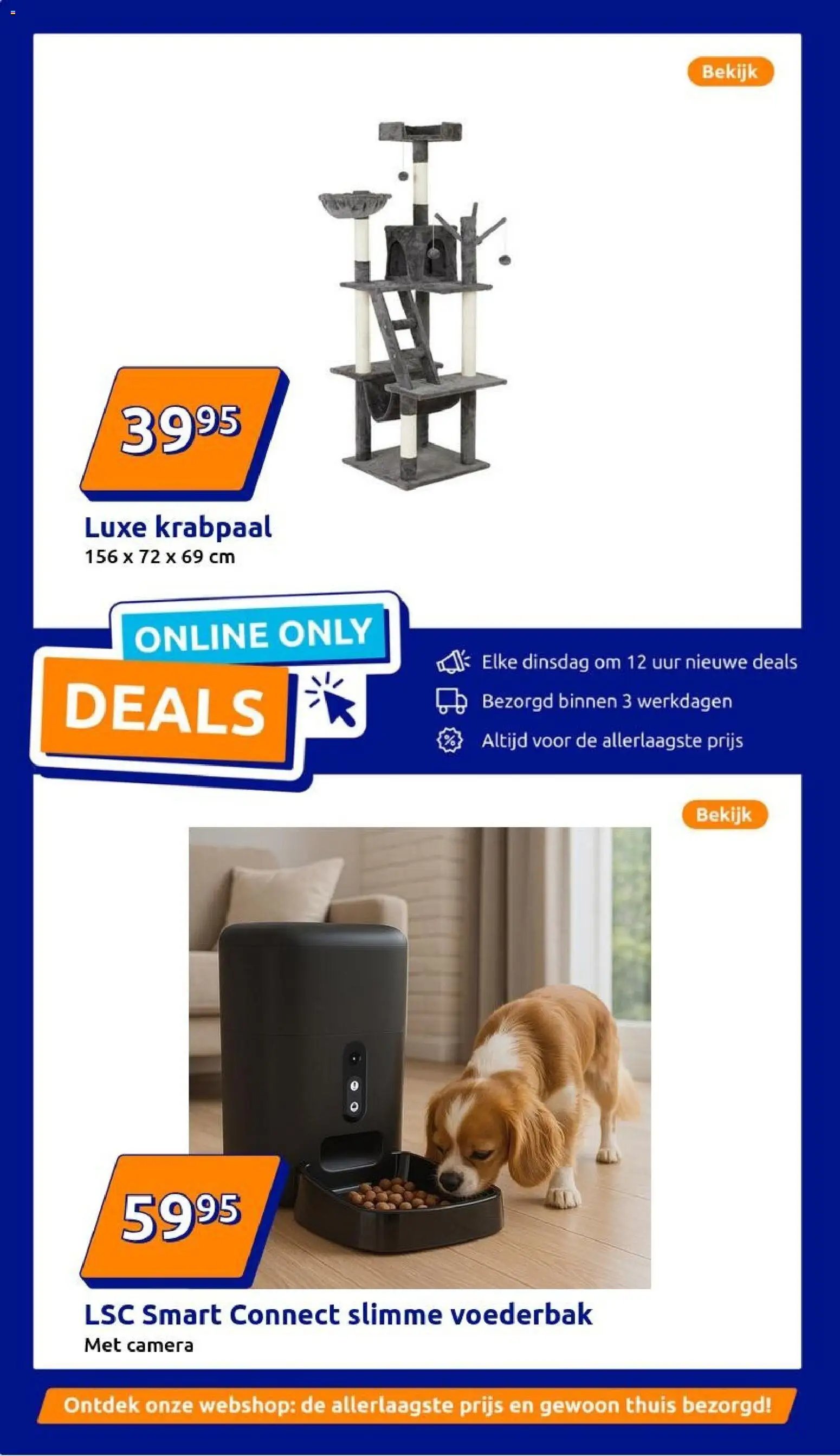 Action folder week 50