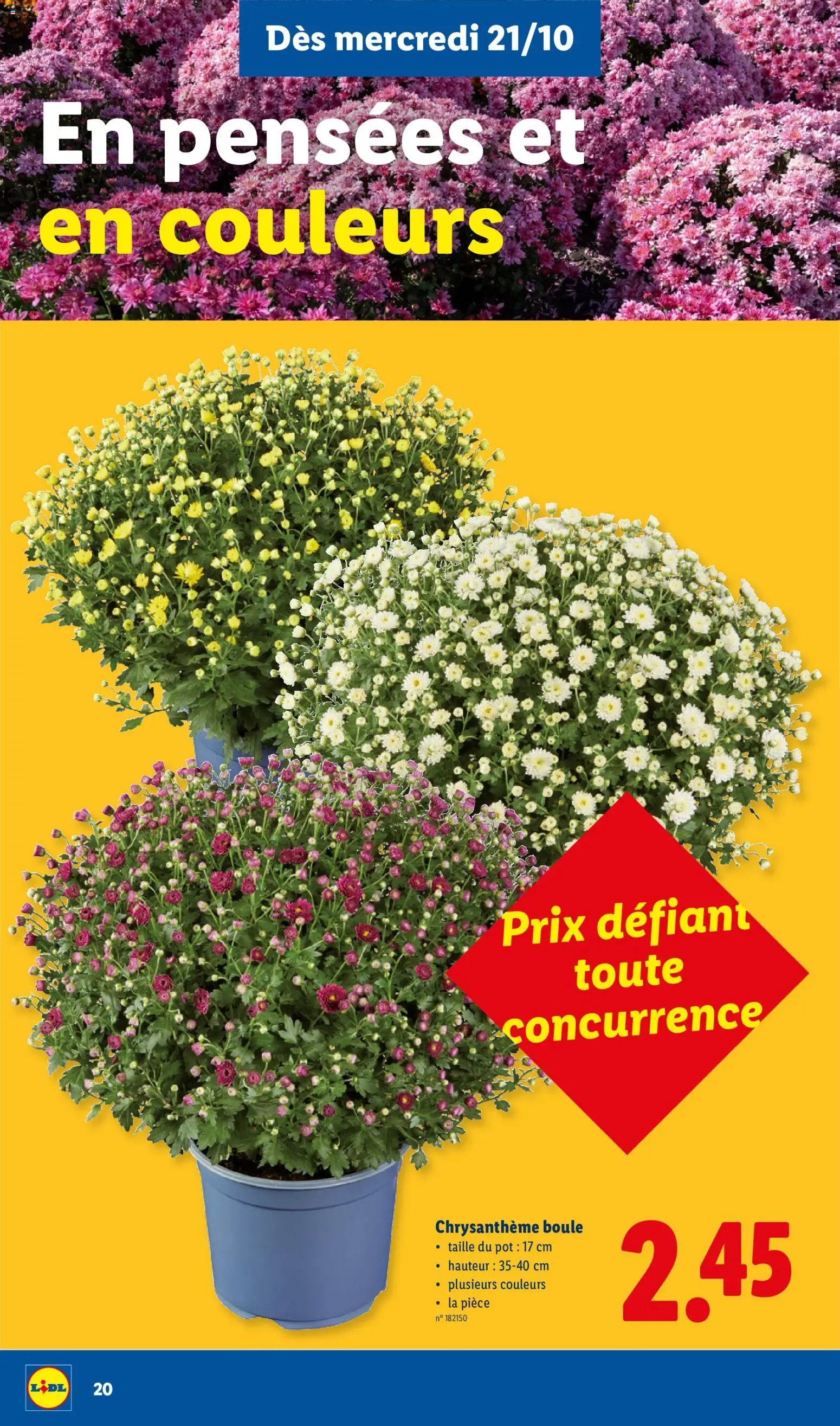 Lidl Folder semaine Folder week 43