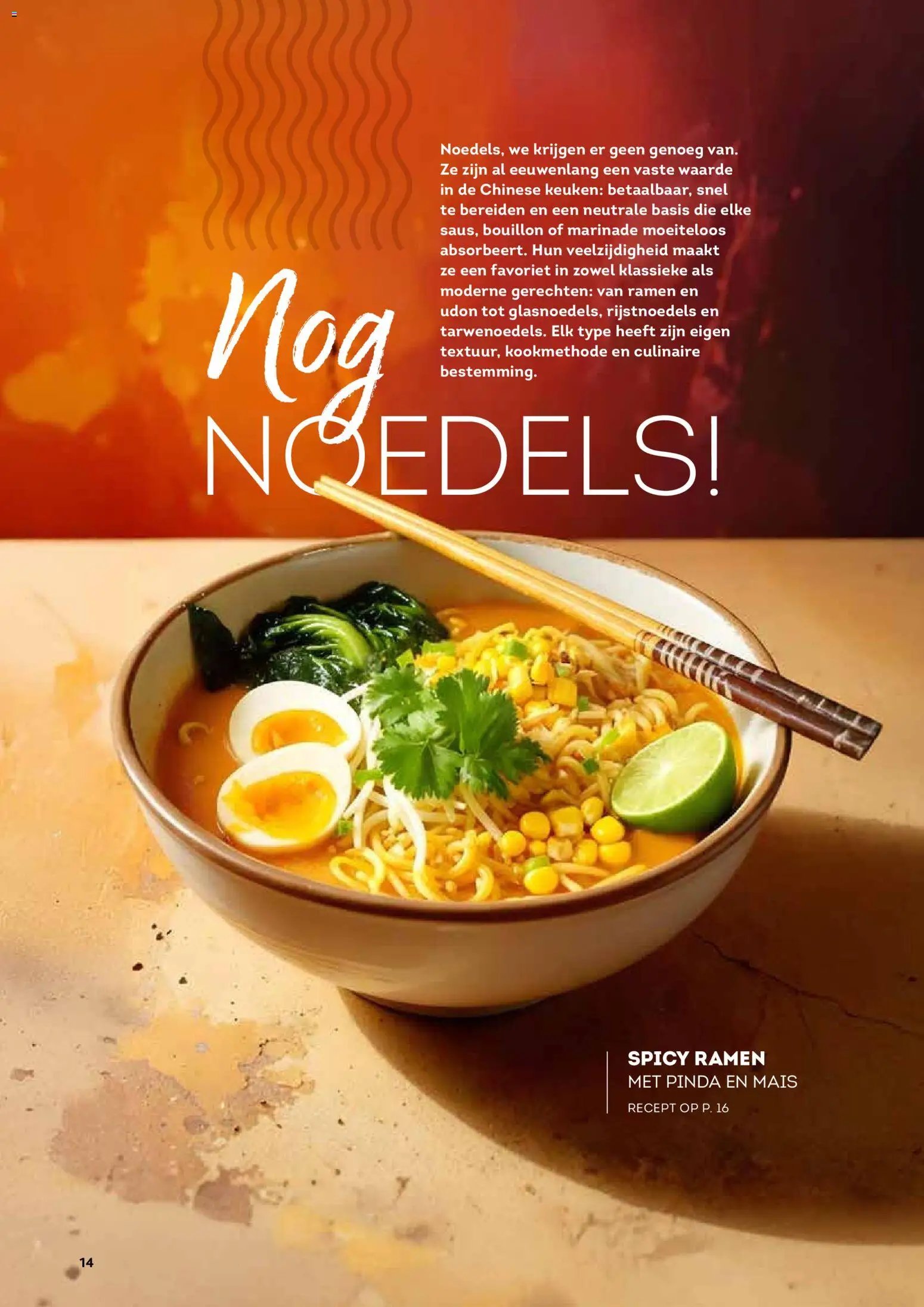 Alvo folder / publicité