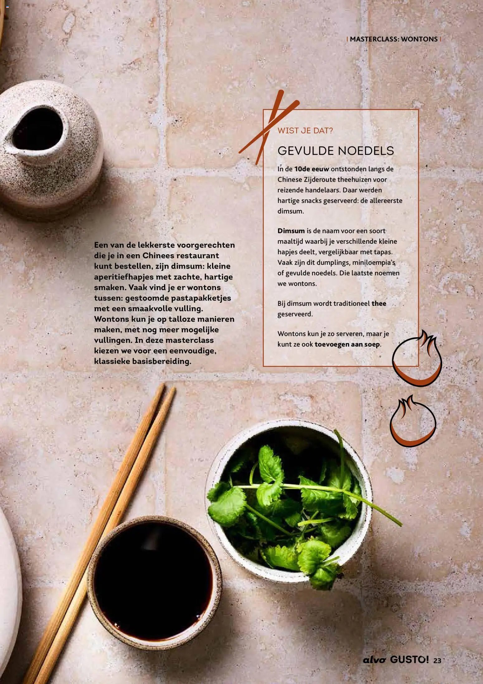 Alvo folder / publicité