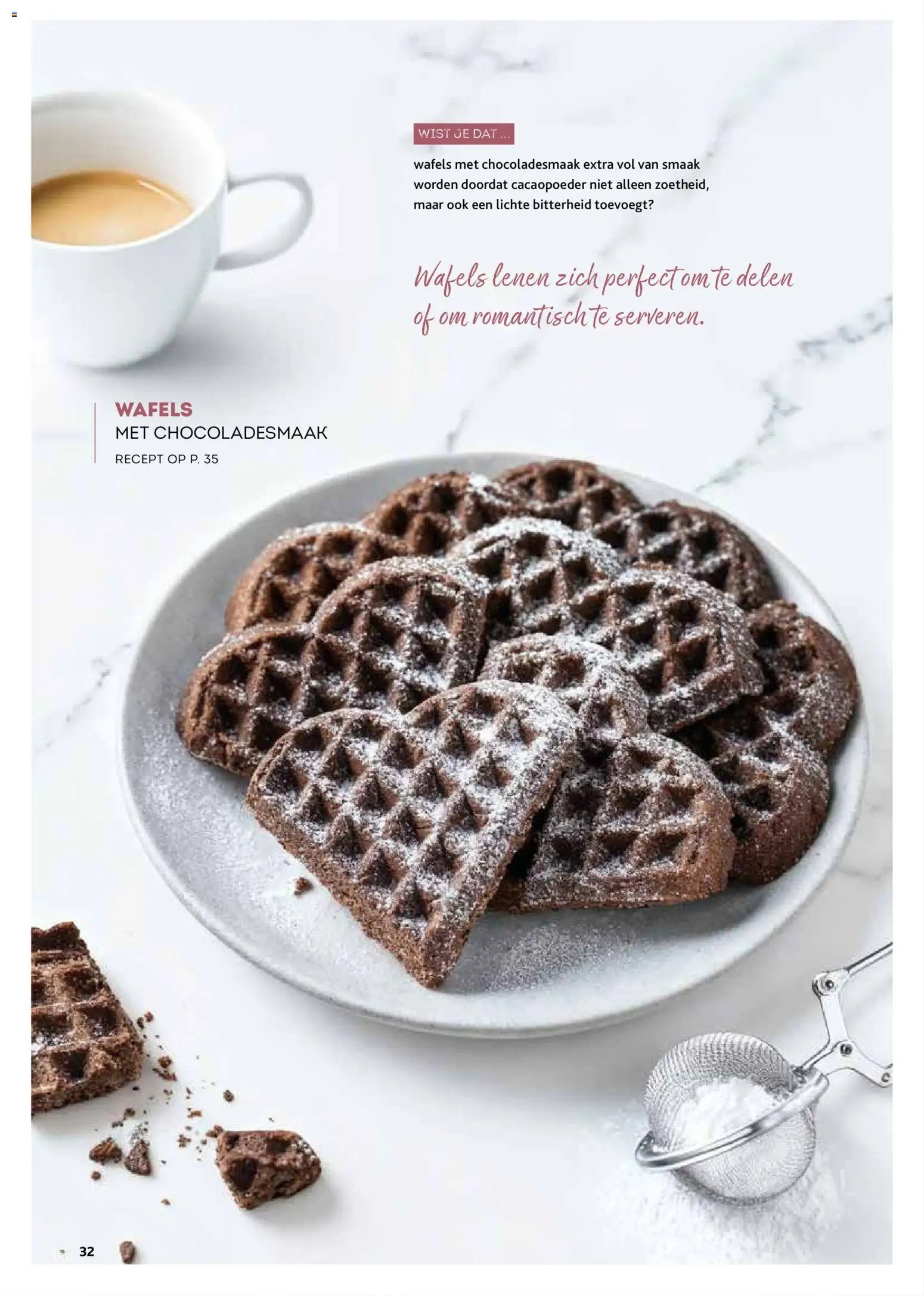 Alvo folder / publicité