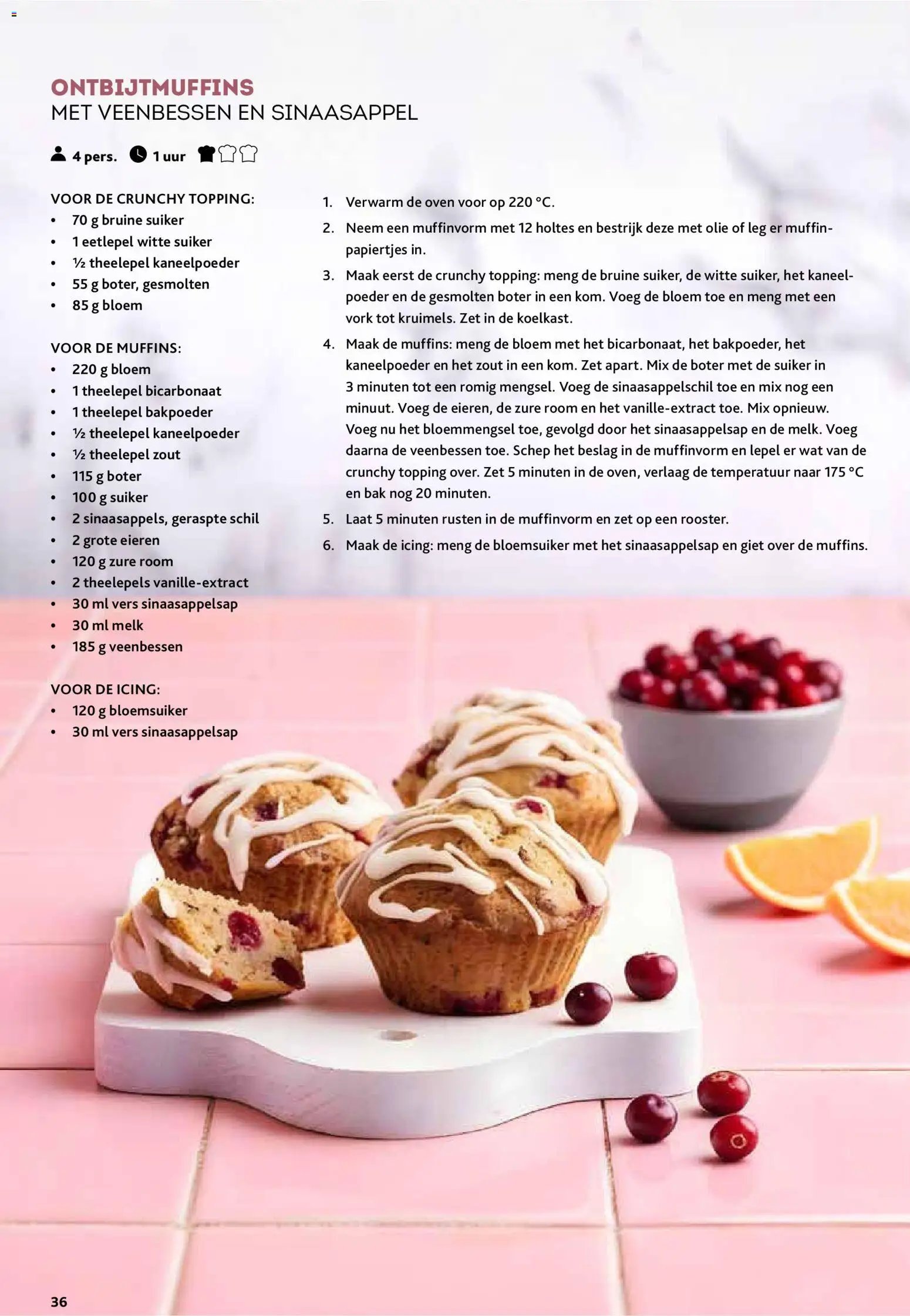 Alvo folder / publicité