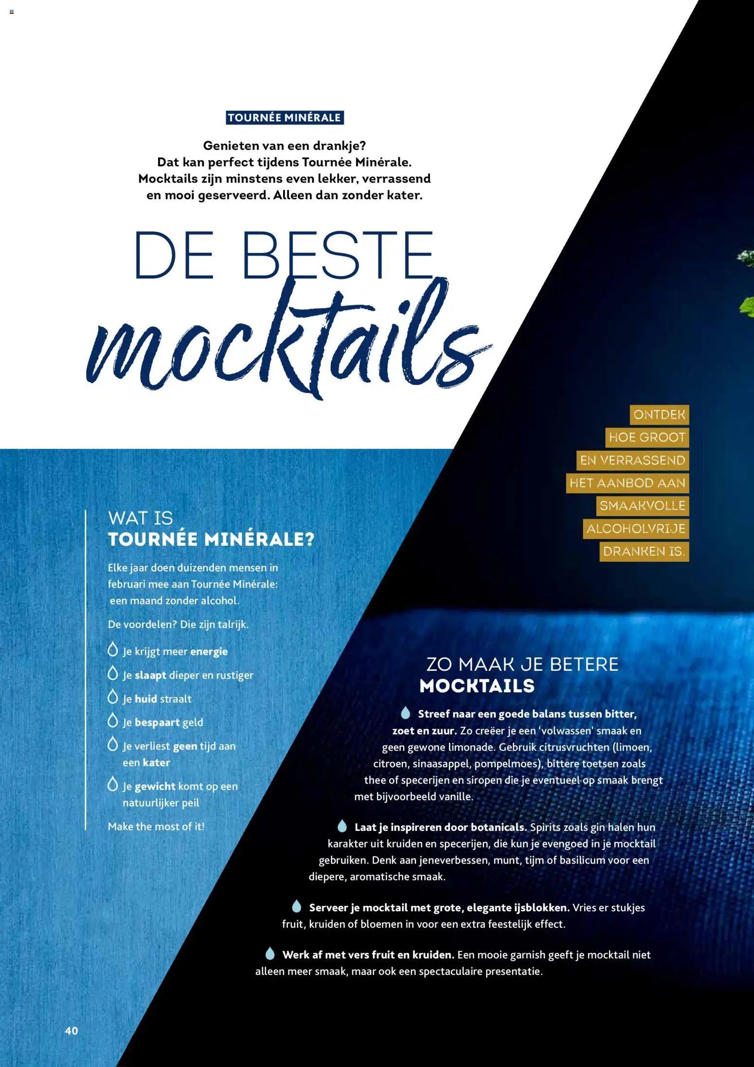 Alvo folder / publicité