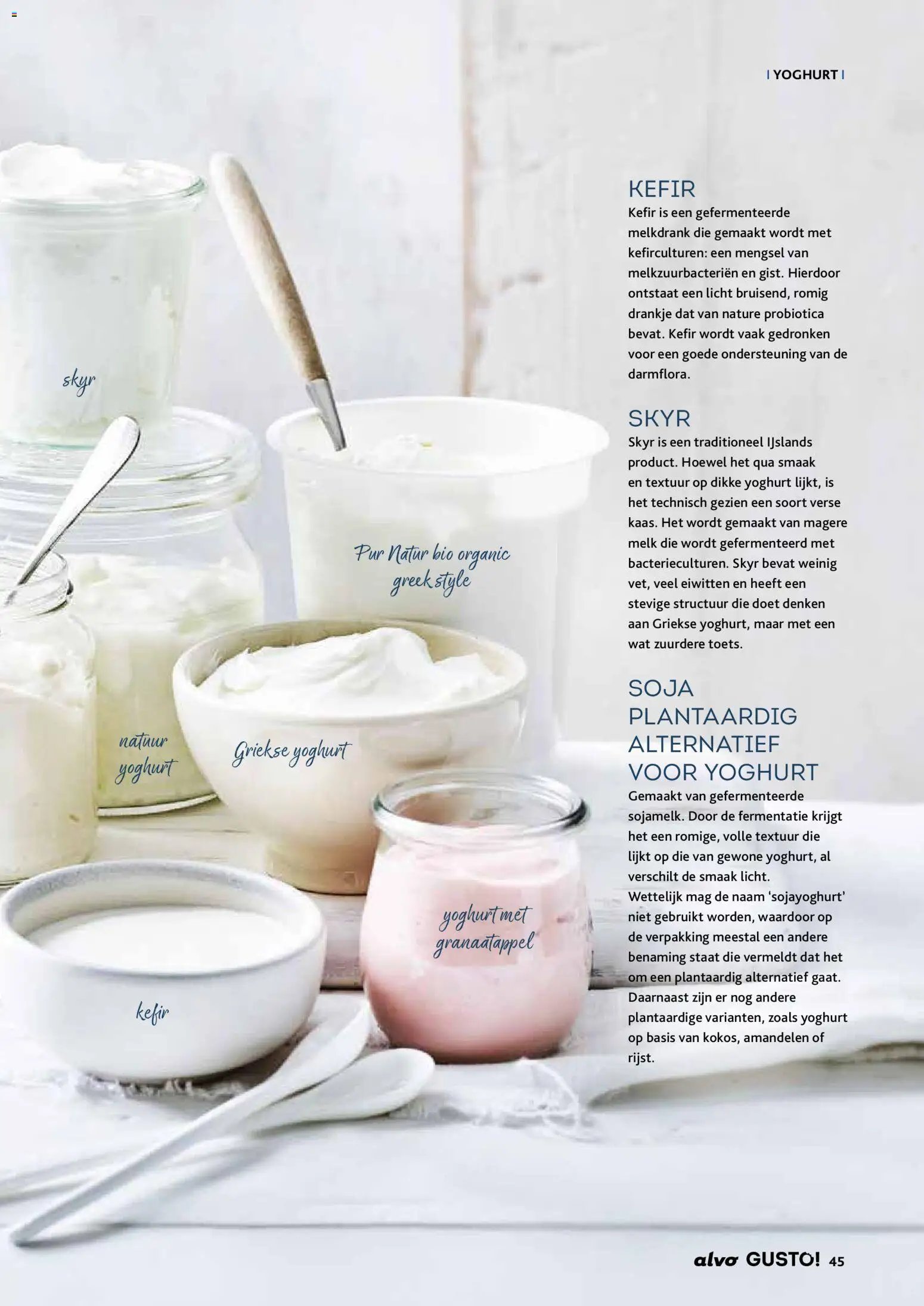 Alvo folder / publicité