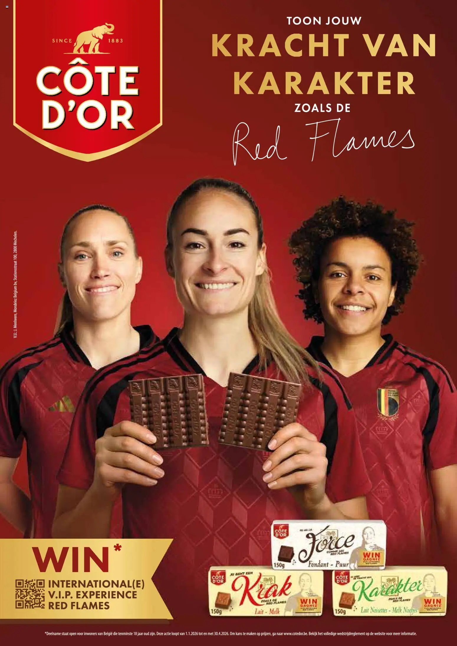 Alvo folder / publicité