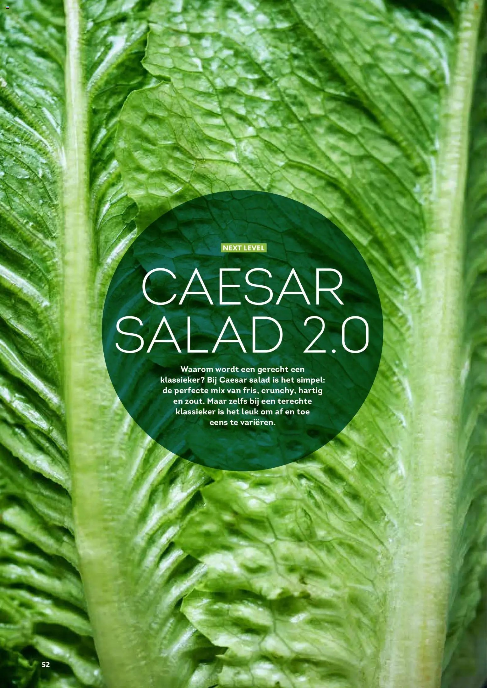 Alvo folder / publicité