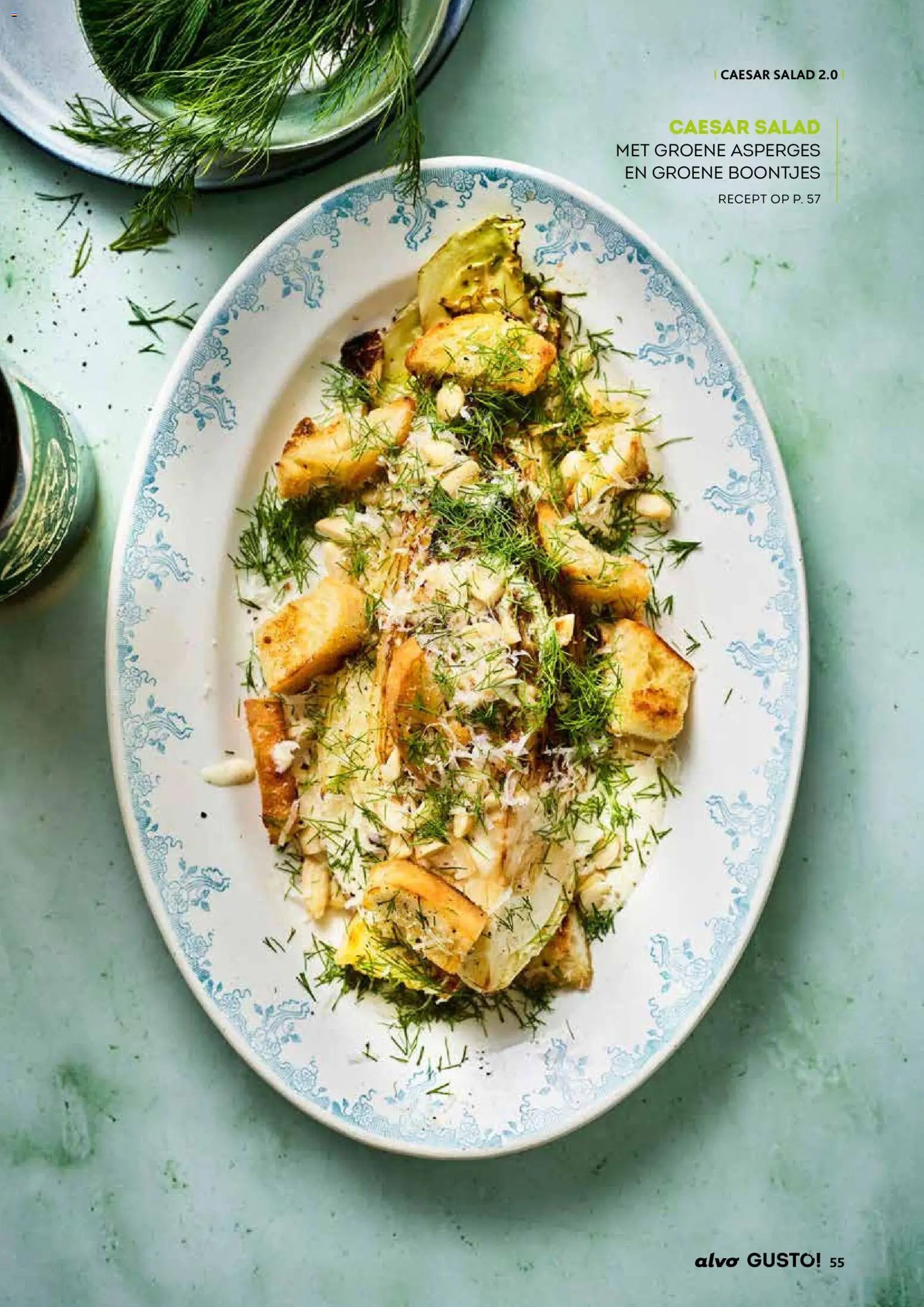 Alvo folder / publicité