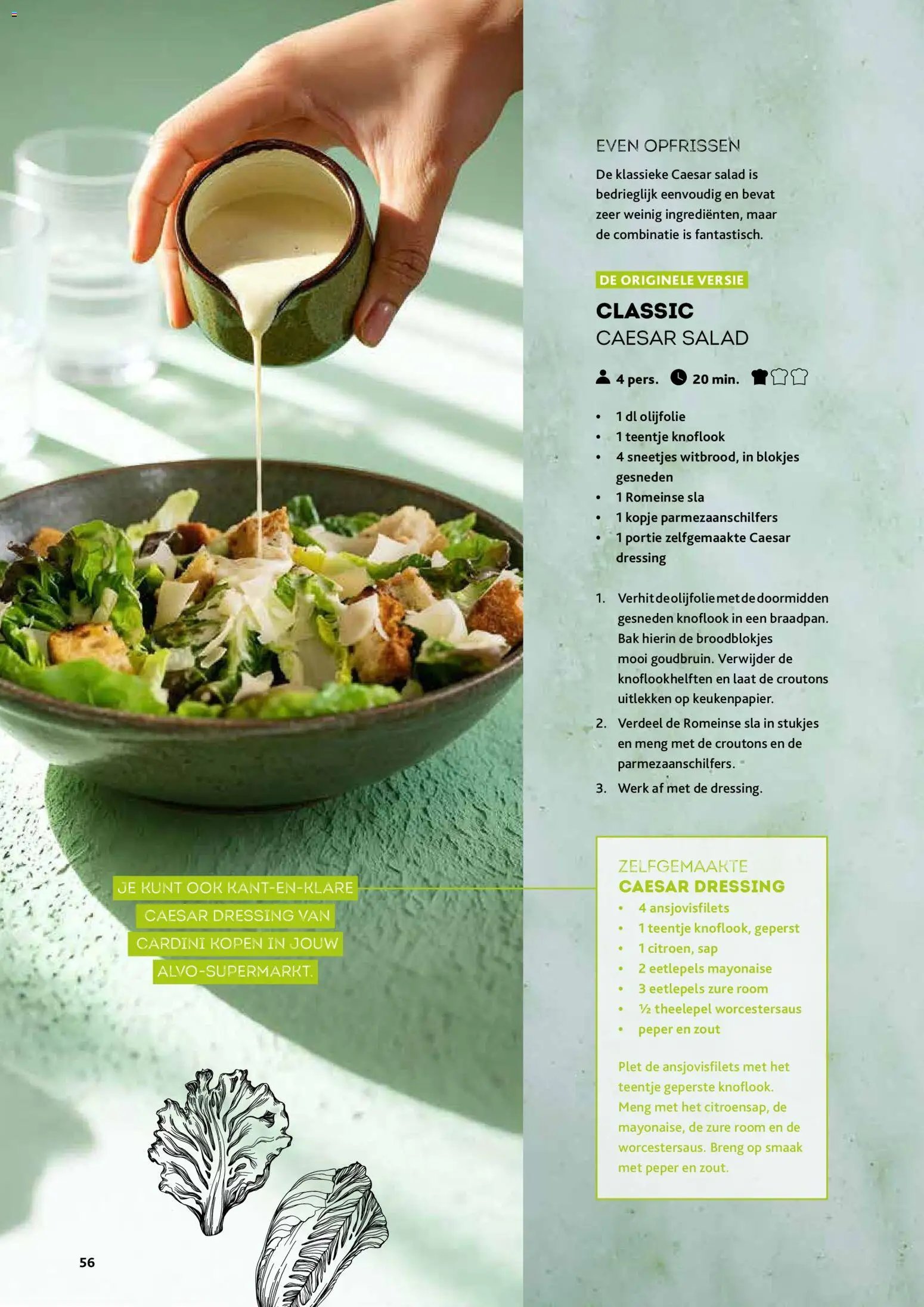 Alvo folder / publicité