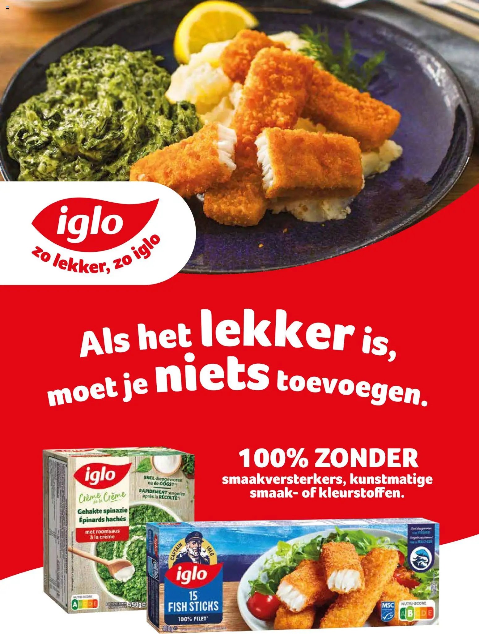 Alvo folder / publicité