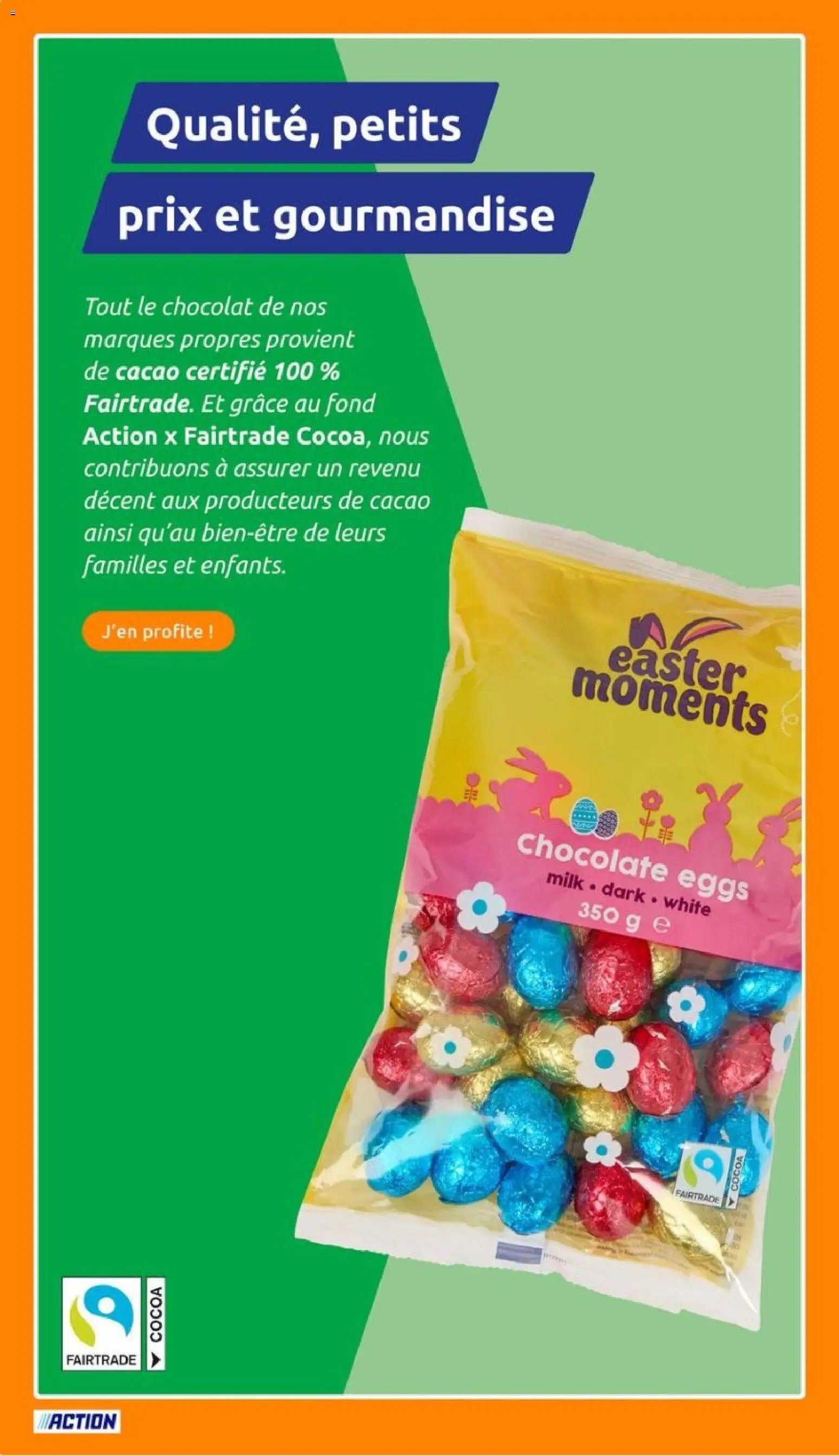 Action folder week 14