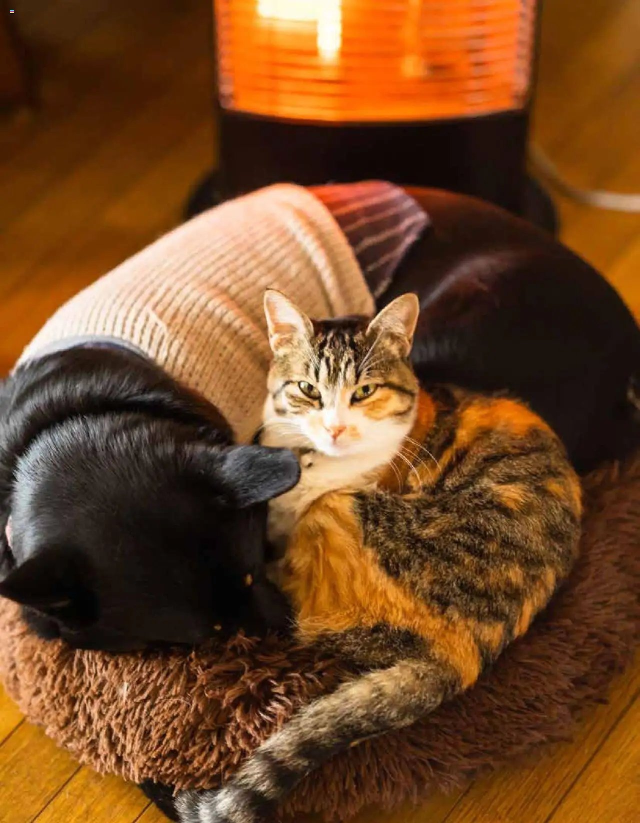 Mr Bricolage folder / publicité