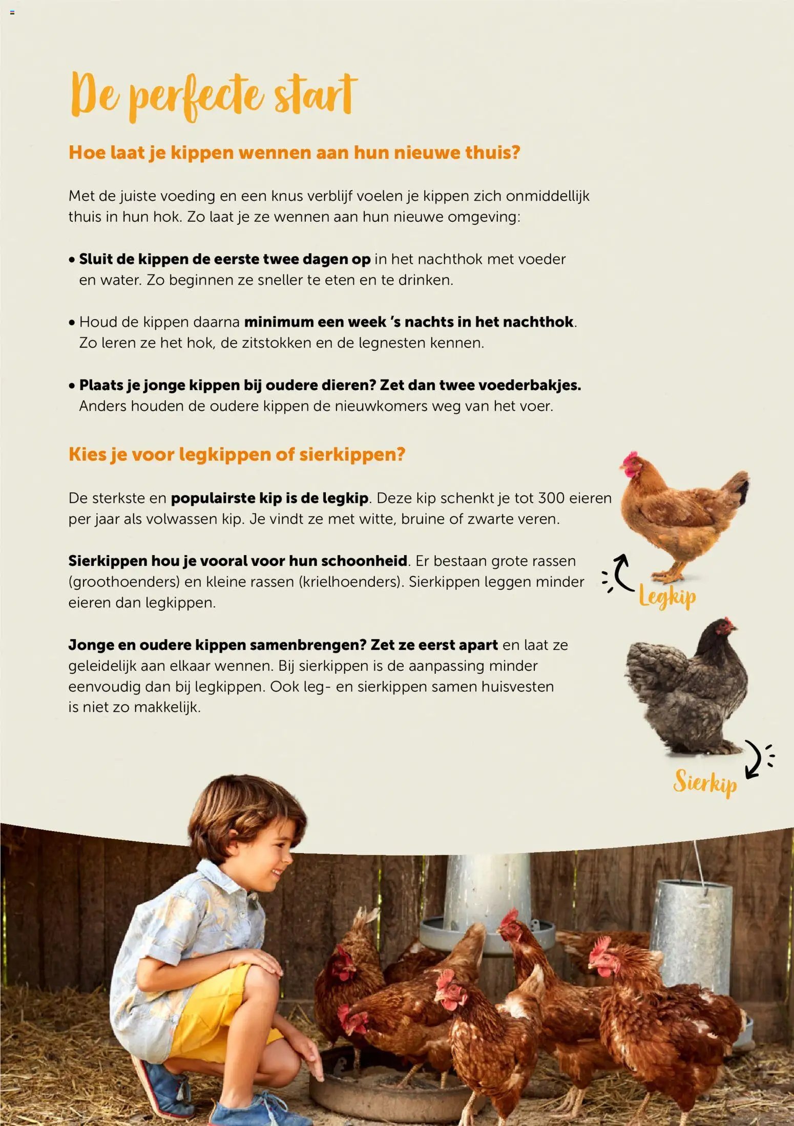 Aveve Gids starten met kippen