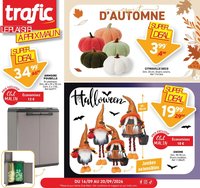 Trafic publicité