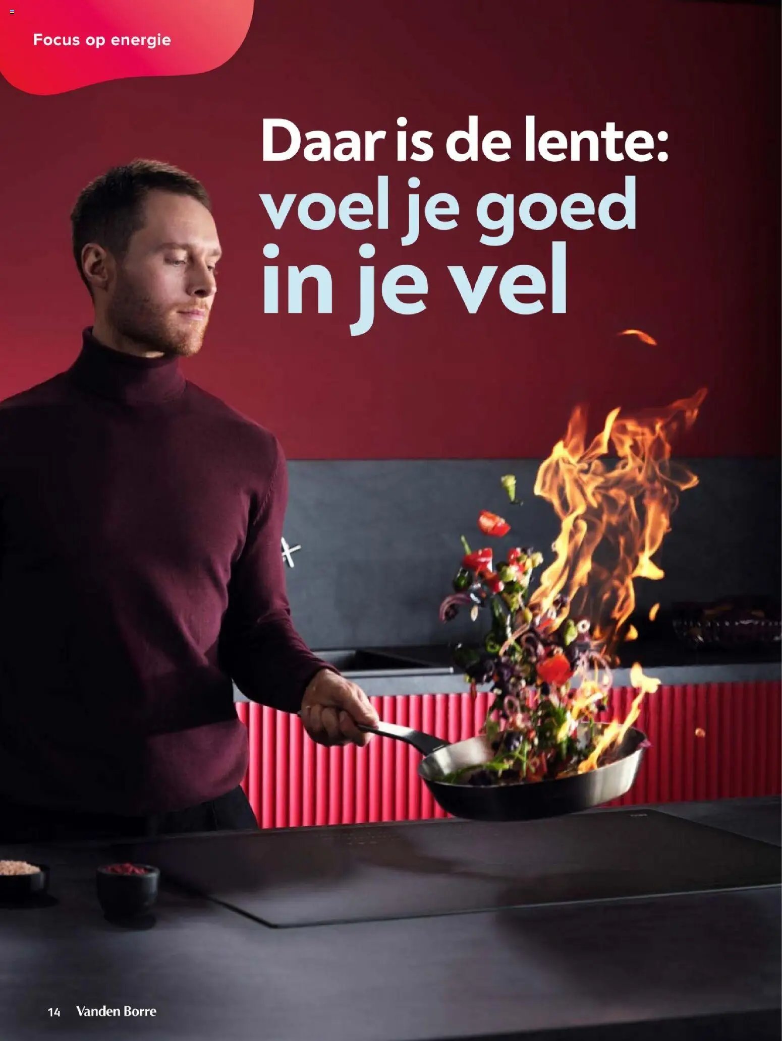 Vanden Borre folder (2026-02-02 - 2026-05-15)