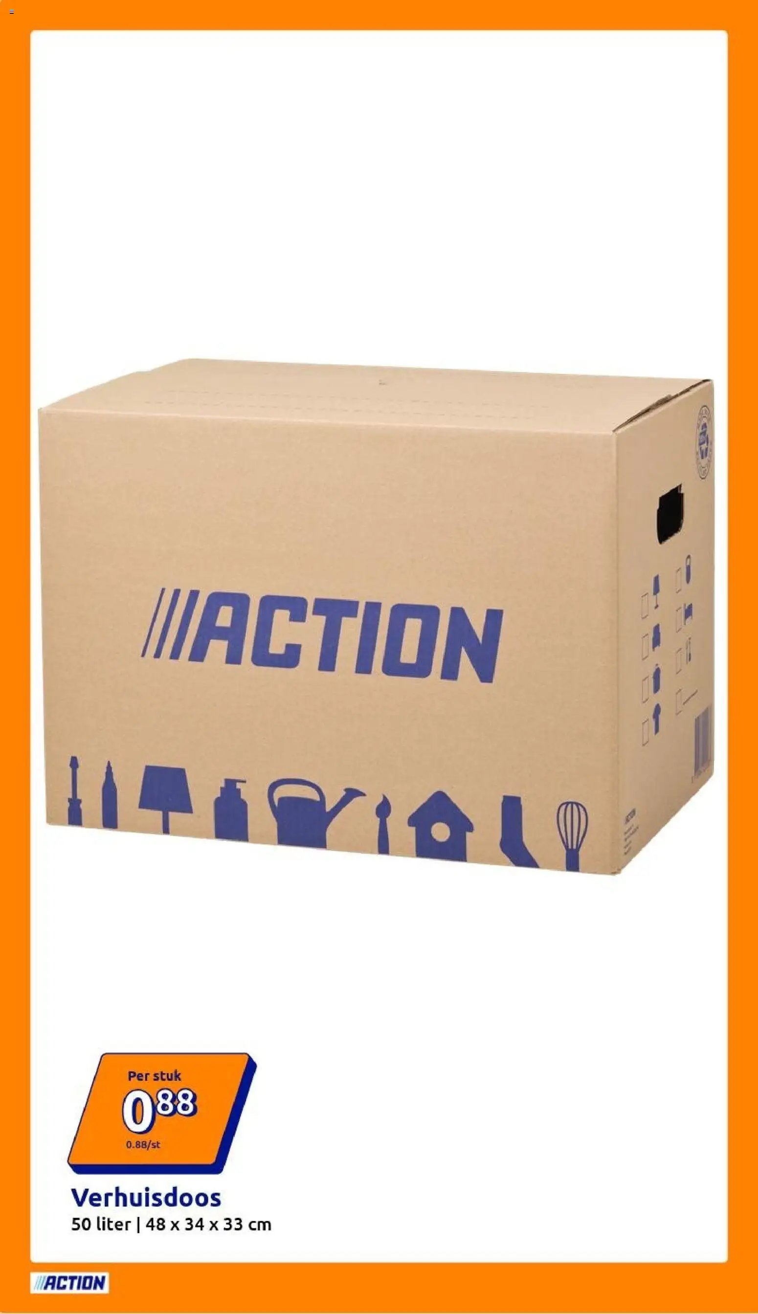 Action folder week 13