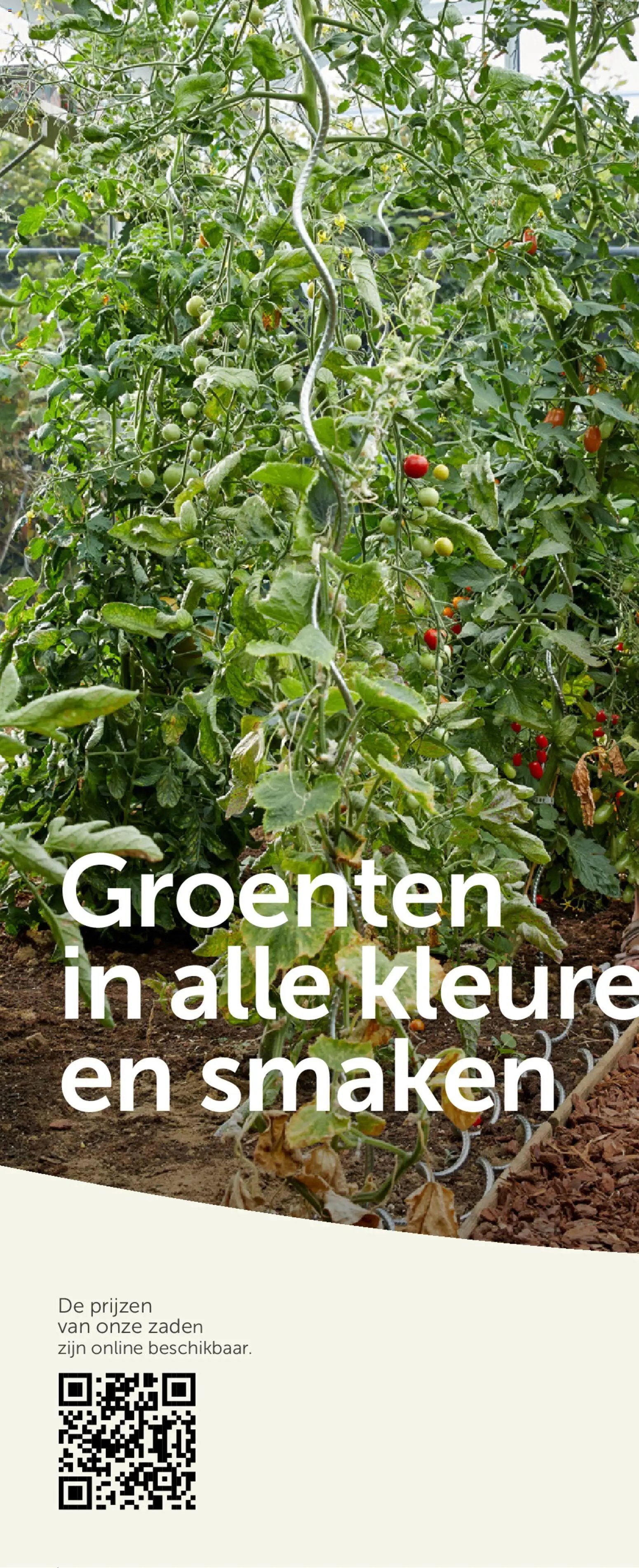 Aveve Groente- en kruidengids