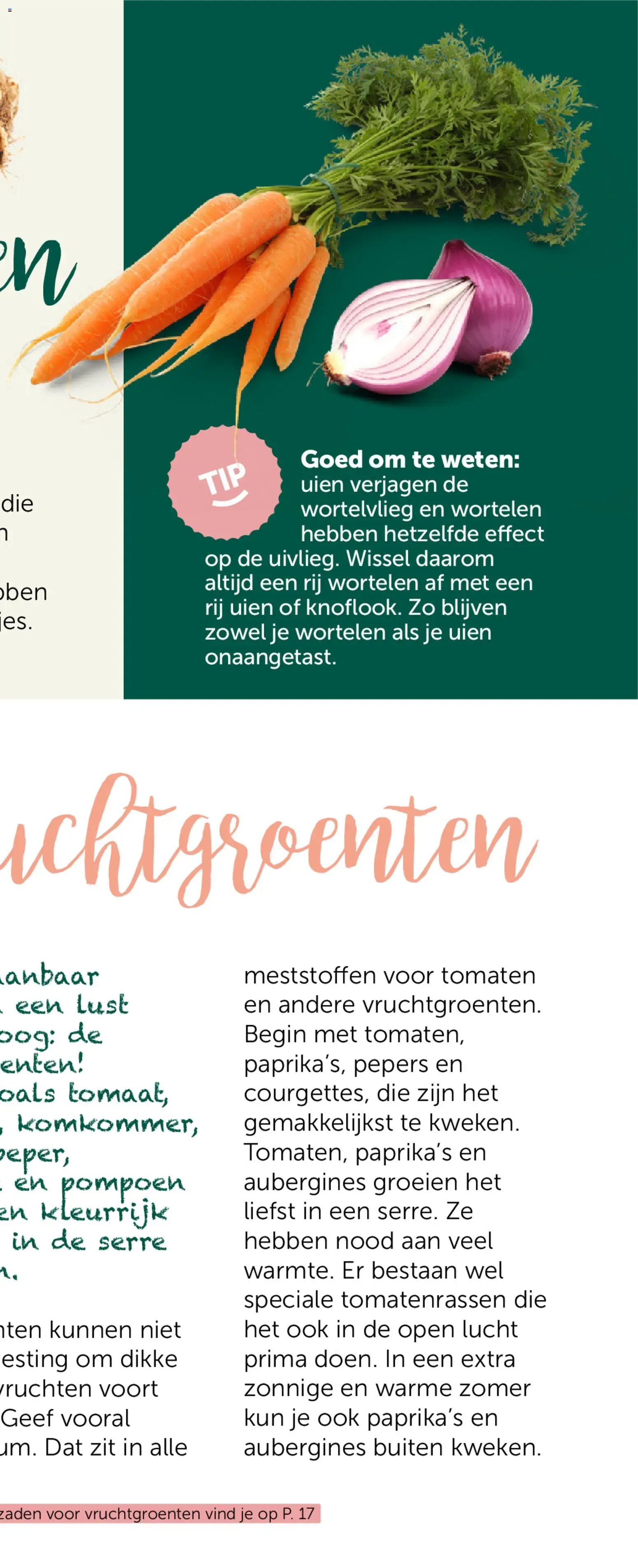 Aveve Groente- en kruidengids