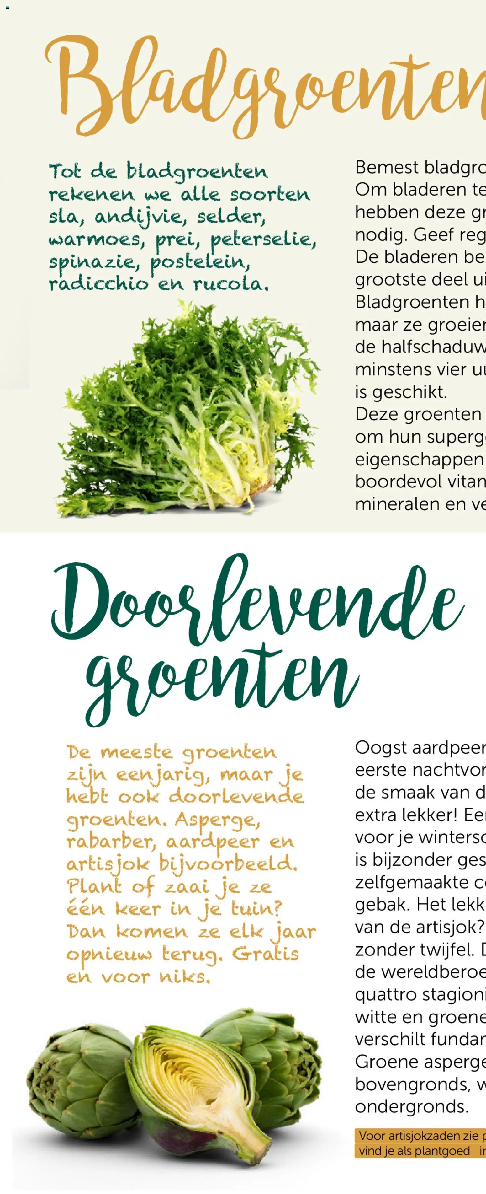 Aveve Groente- en kruidengids