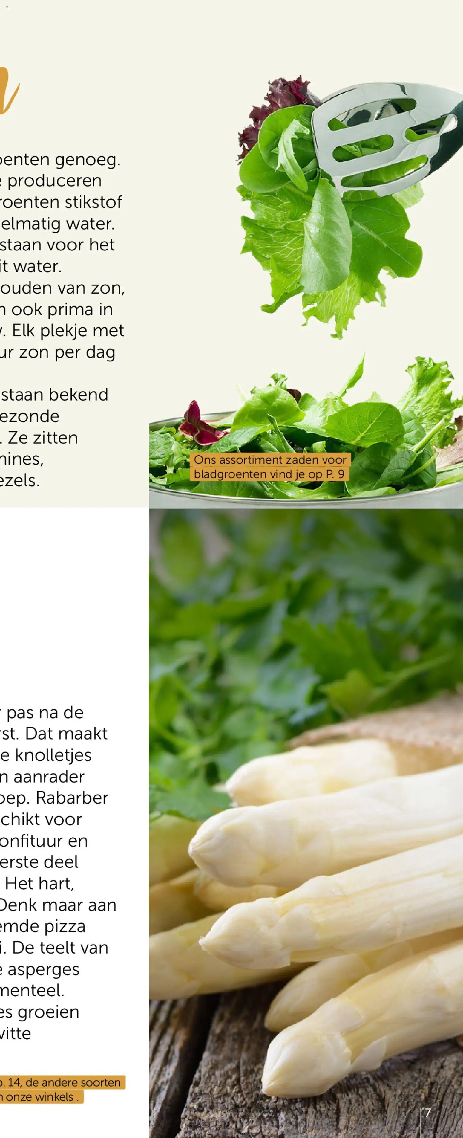 Aveve Groente- en kruidengids