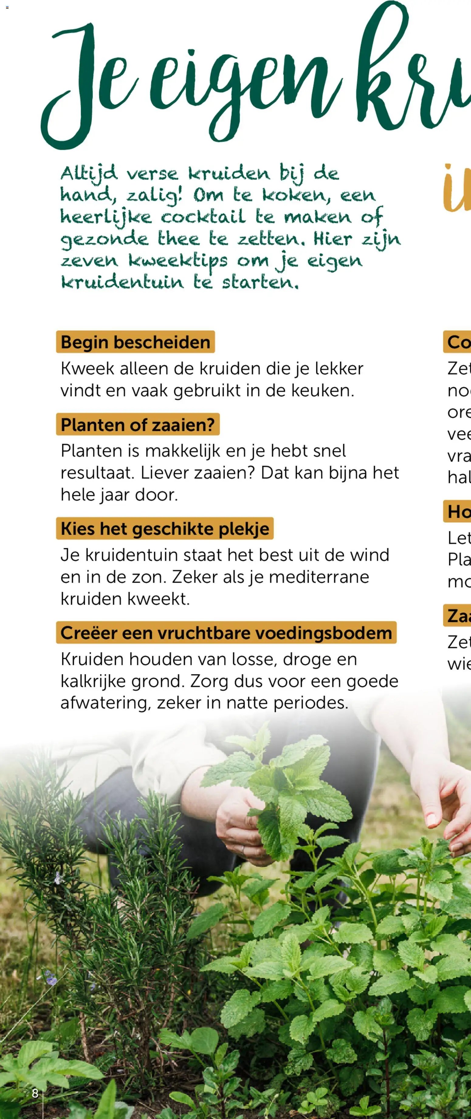 Aveve Groente- en kruidengids