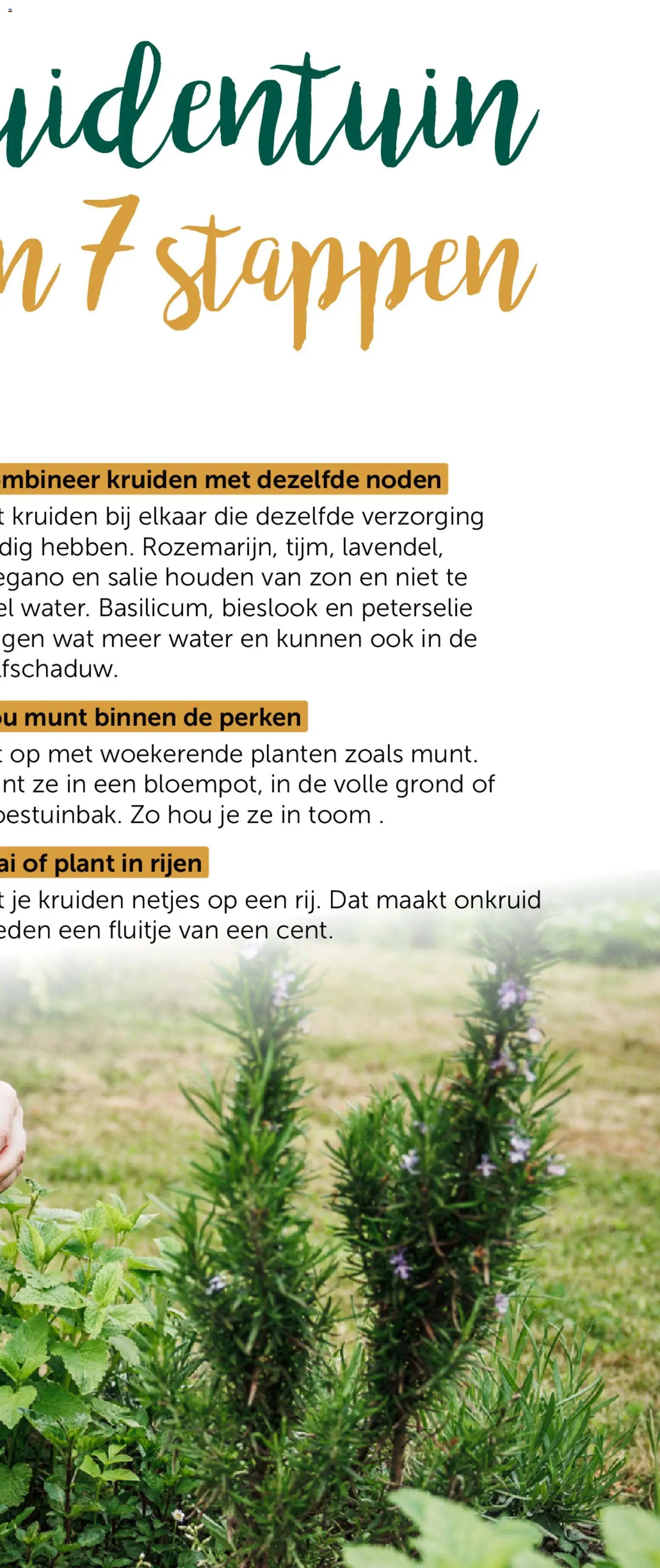 Aveve Groente- en kruidengids