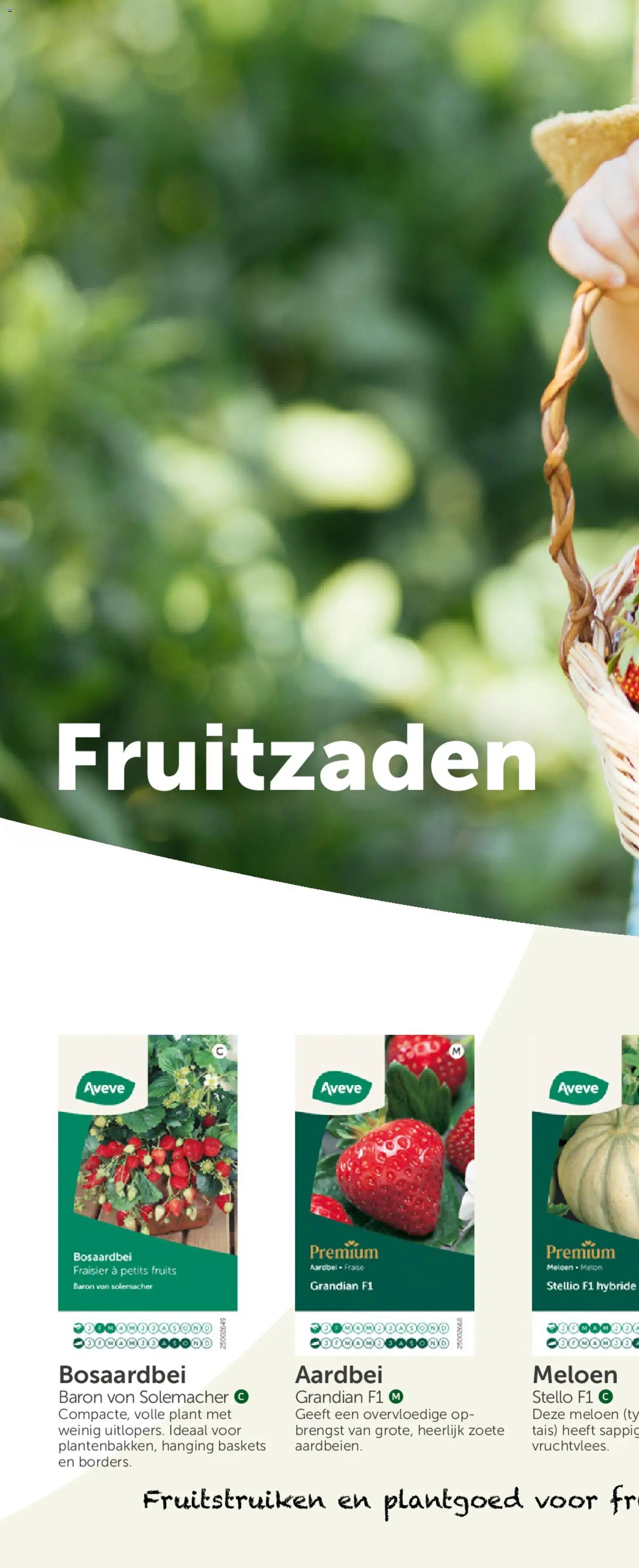 Aveve Groente- en kruidengids