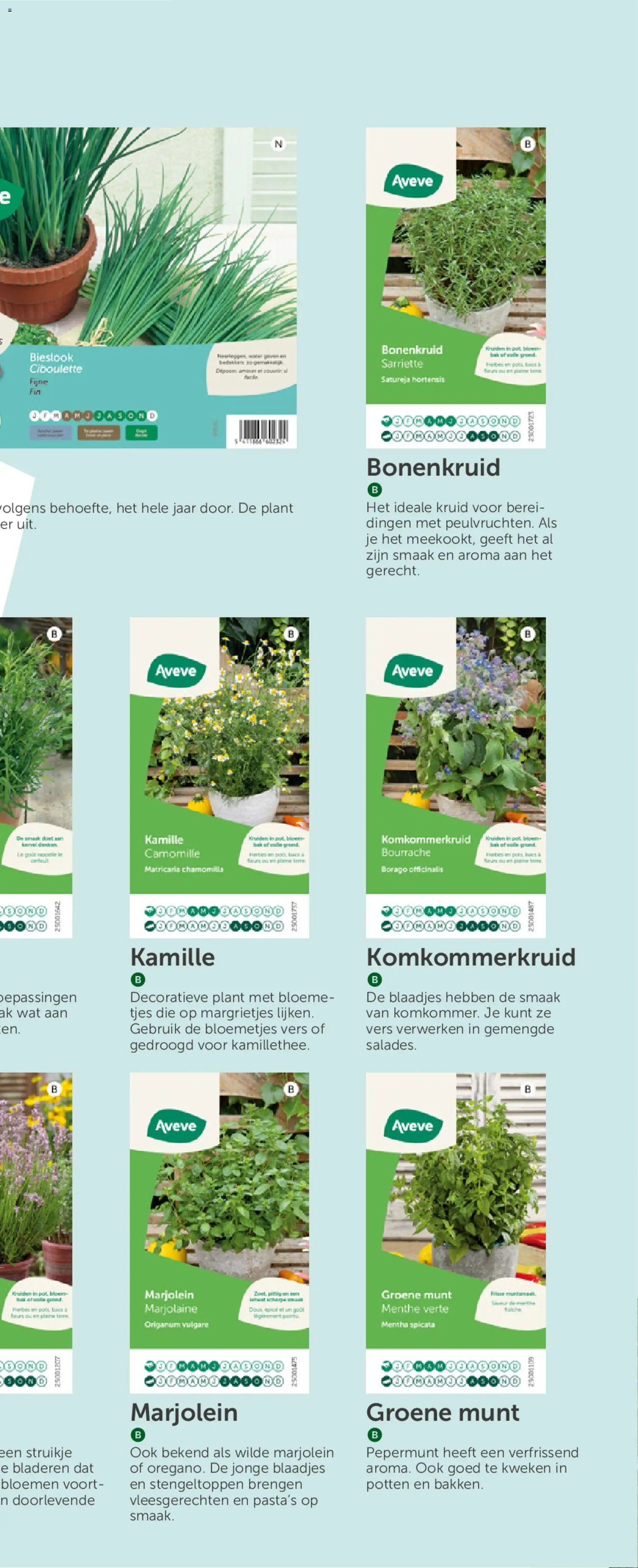 Aveve Groente- en kruidengids