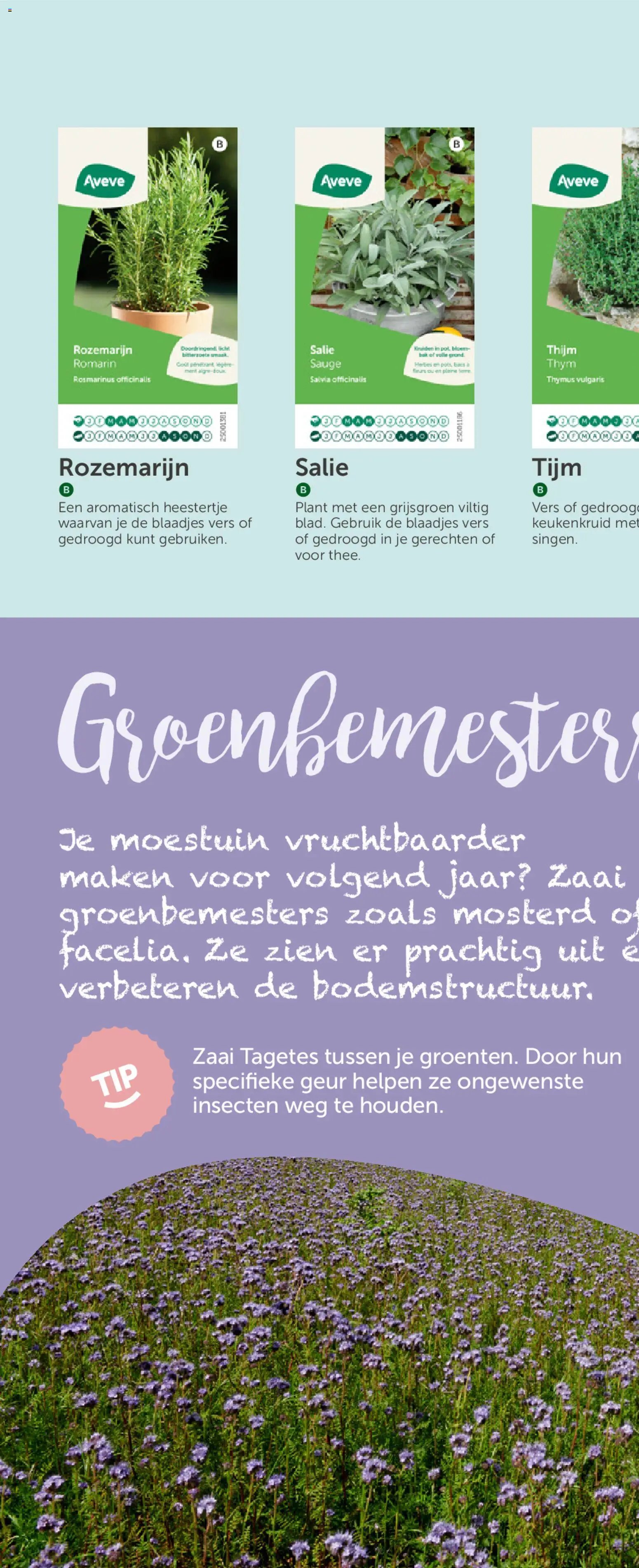 Aveve Groente- en kruidengids