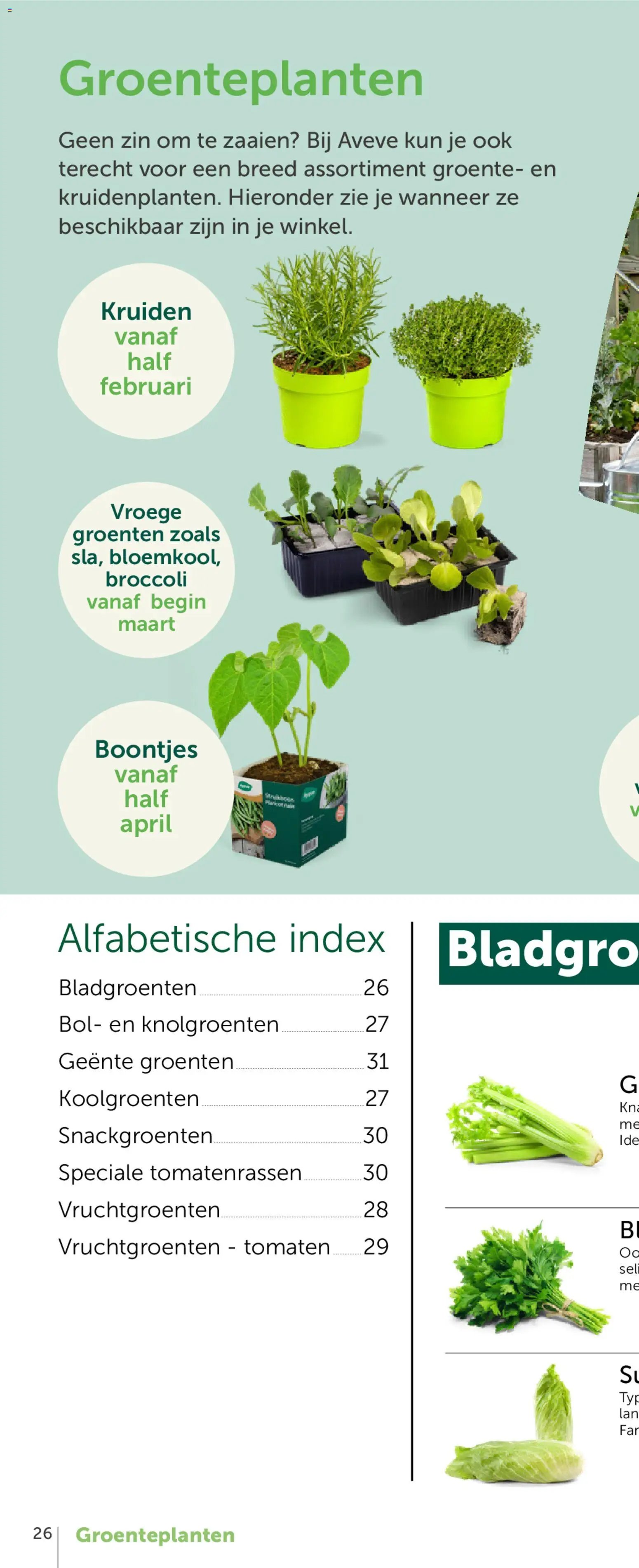 Aveve Groente- en kruidengids
