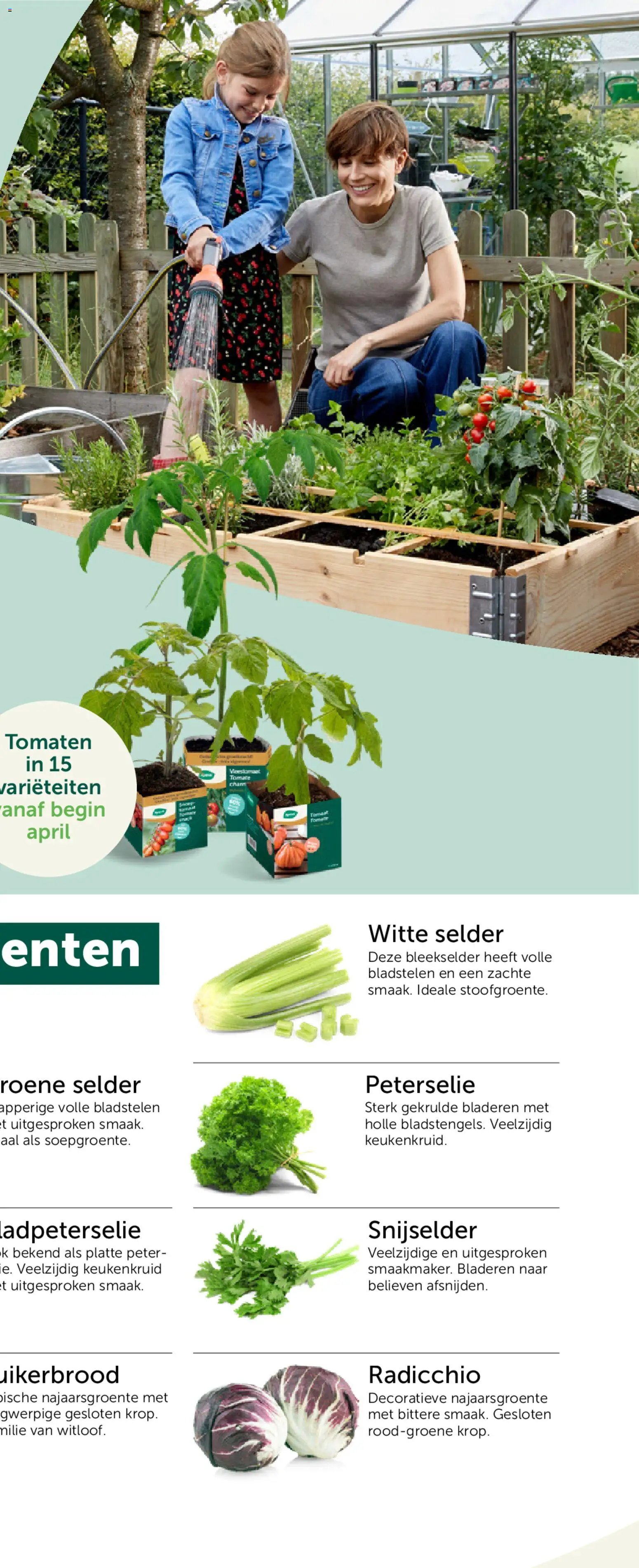 Aveve Groente- en kruidengids