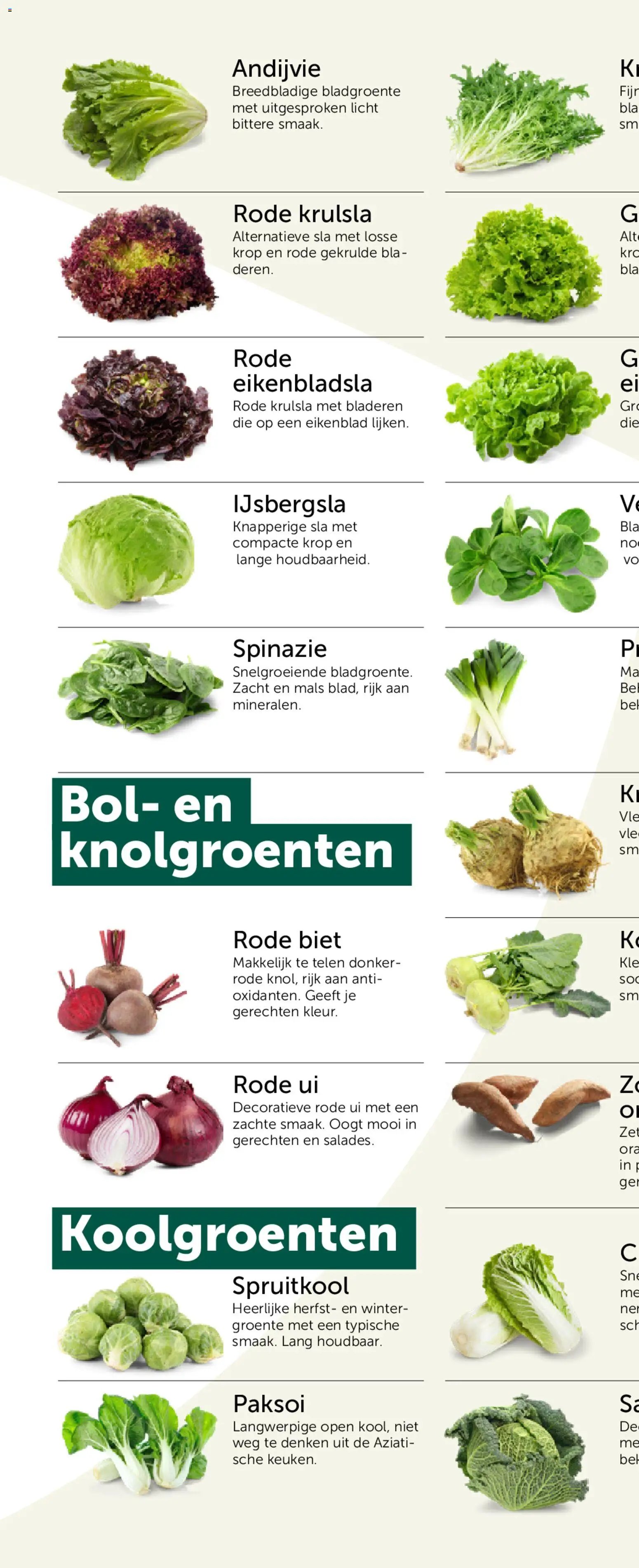Aveve Groente- en kruidengids
