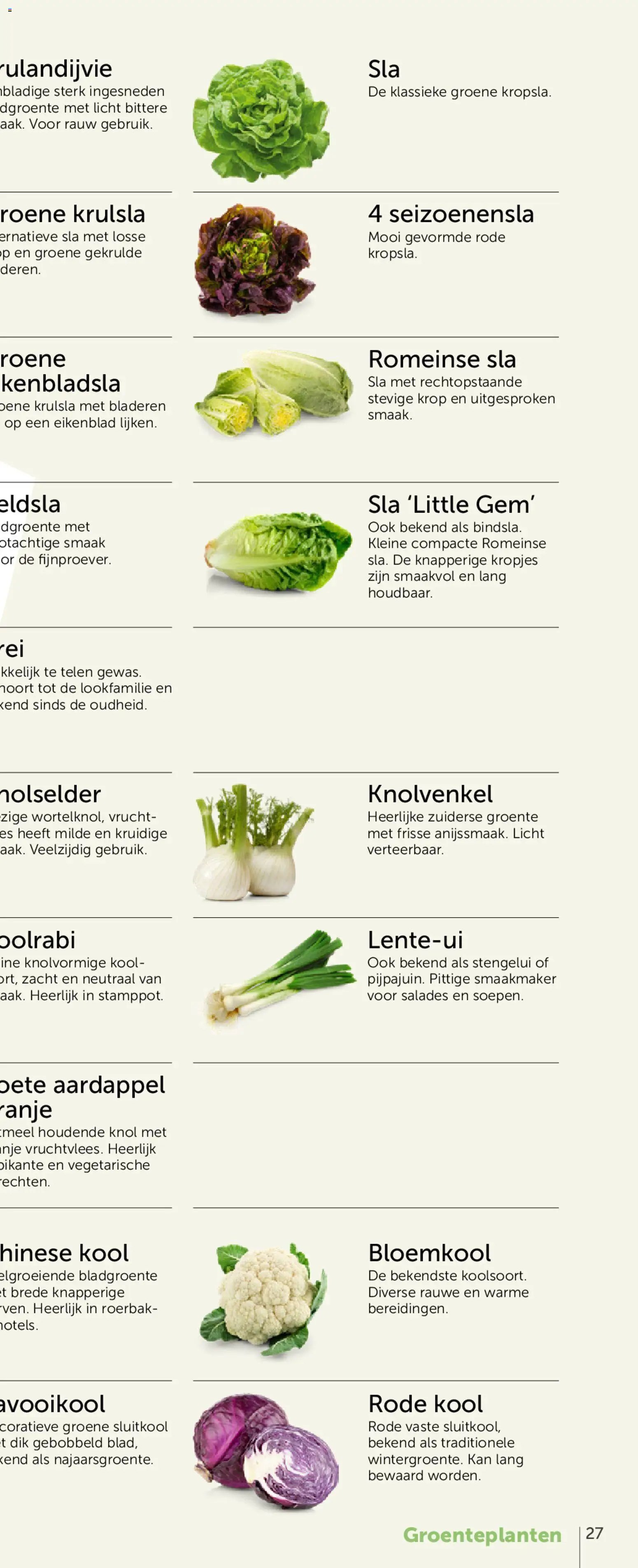 Aveve Groente- en kruidengids