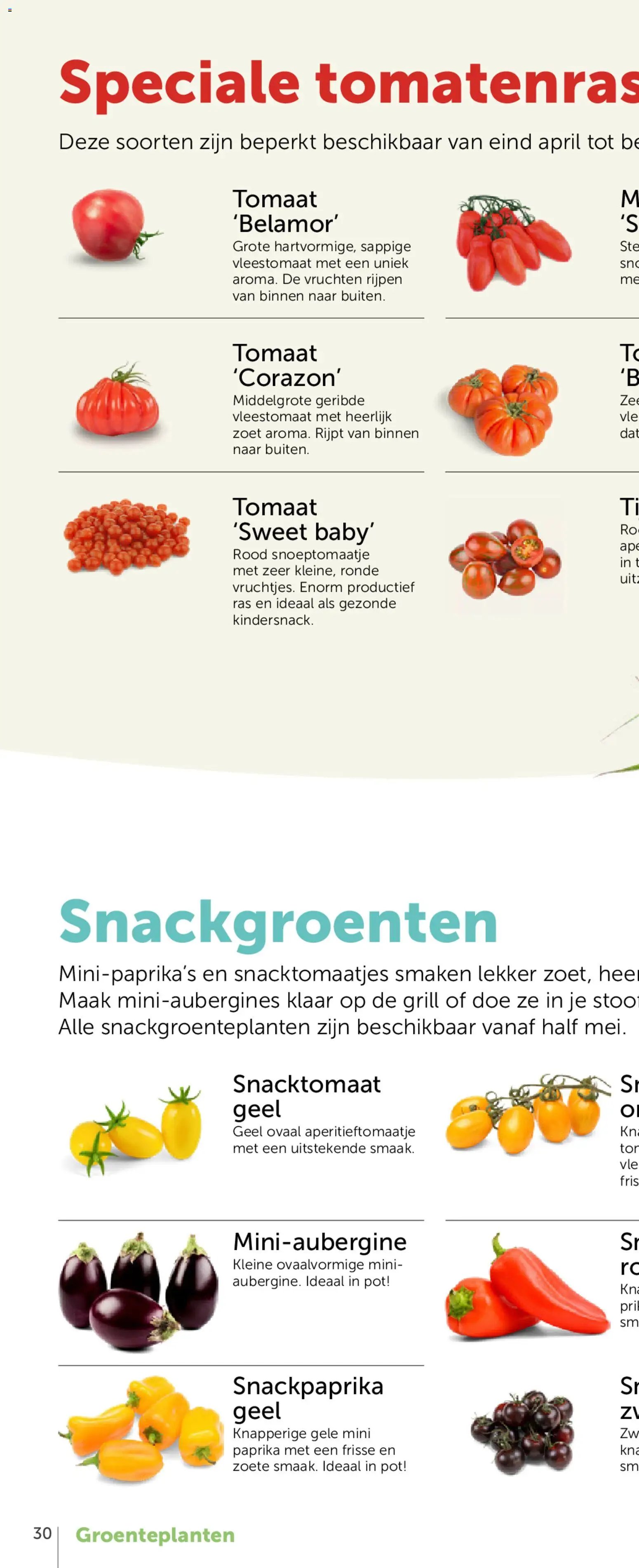 Aveve Groente- en kruidengids