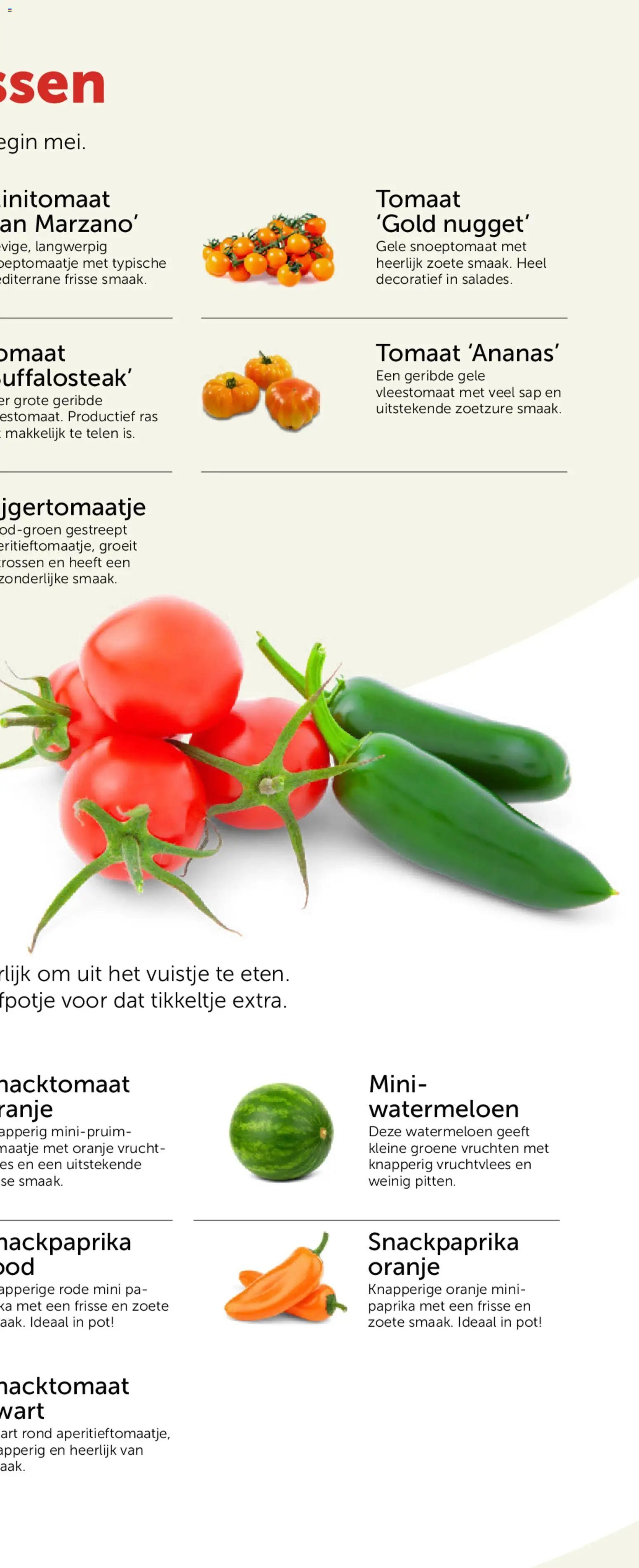 Aveve Groente- en kruidengids