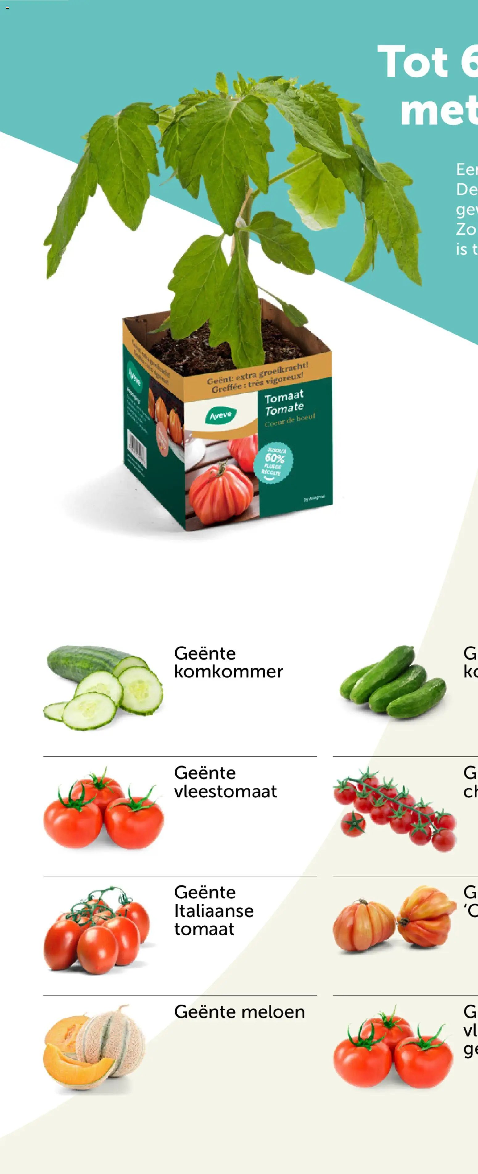 Aveve Groente- en kruidengids