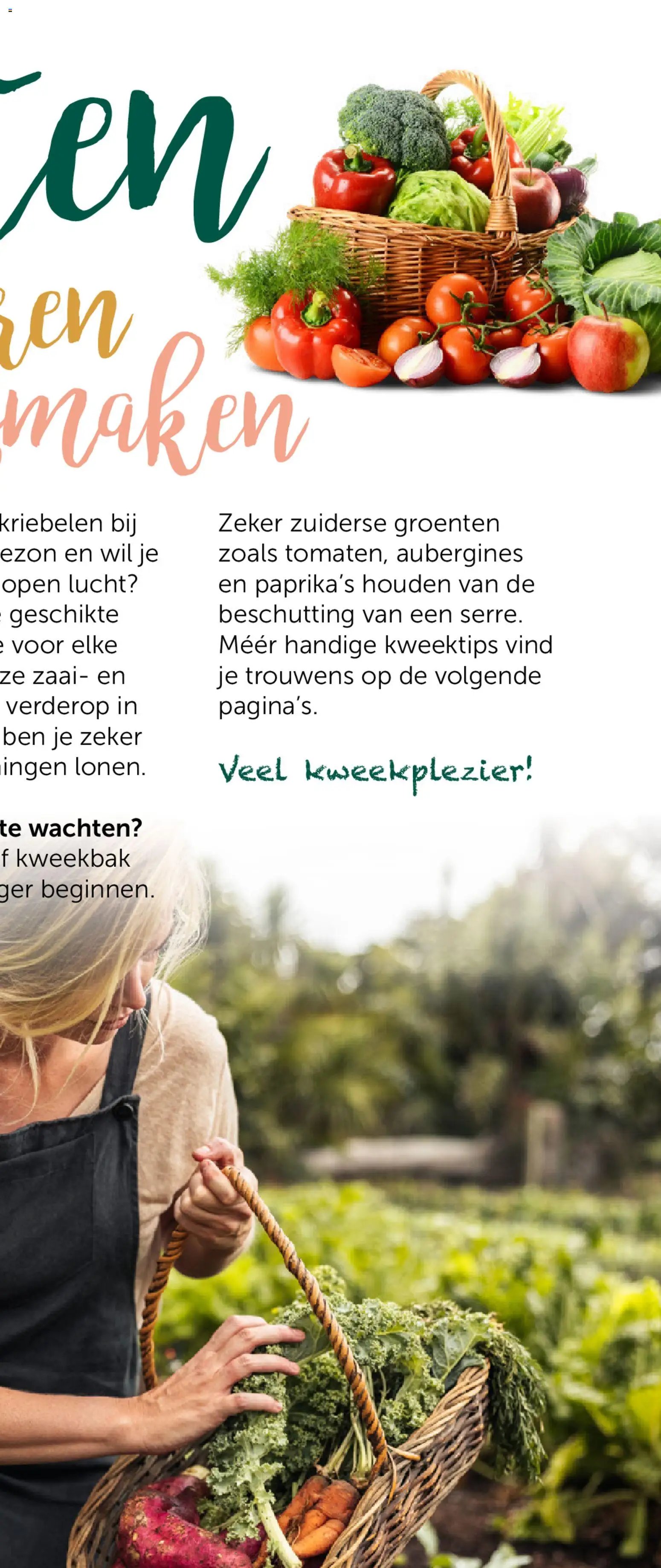 Aveve Groente- en kruidengids