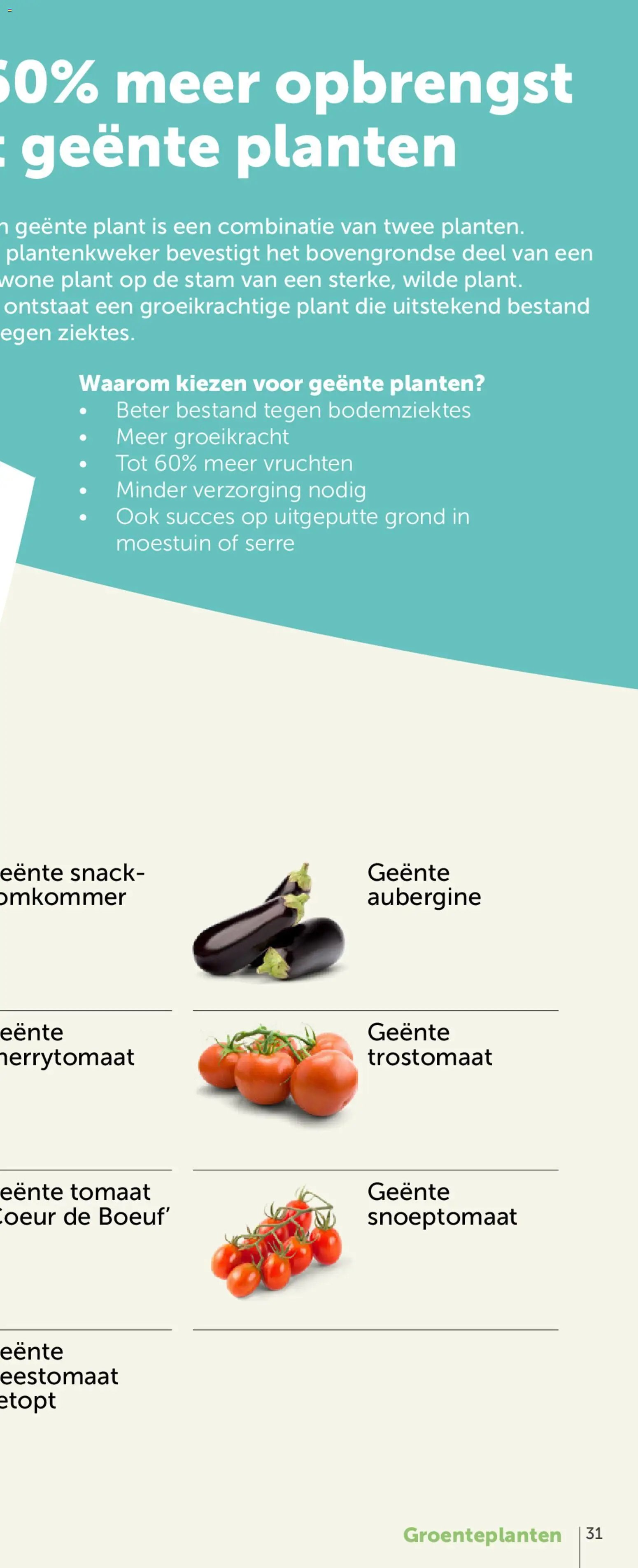 Aveve Groente- en kruidengids