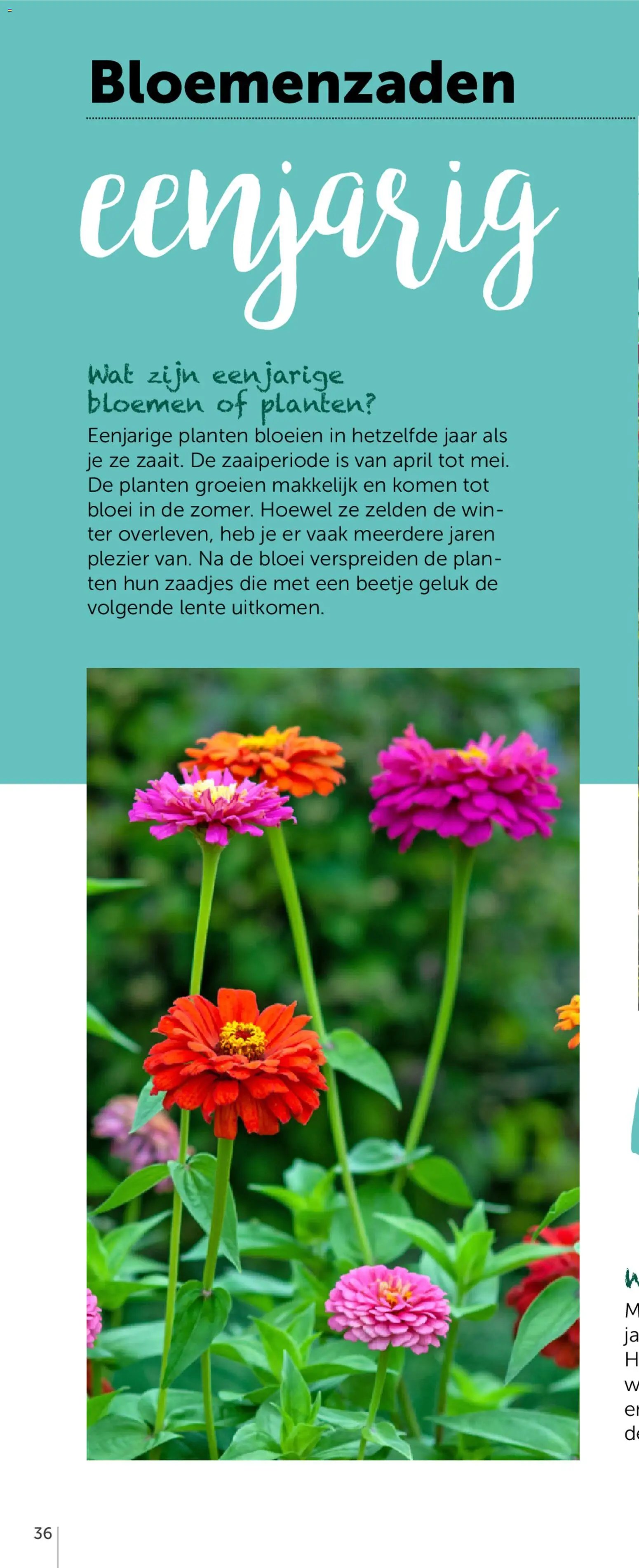 Aveve Groente- en kruidengids