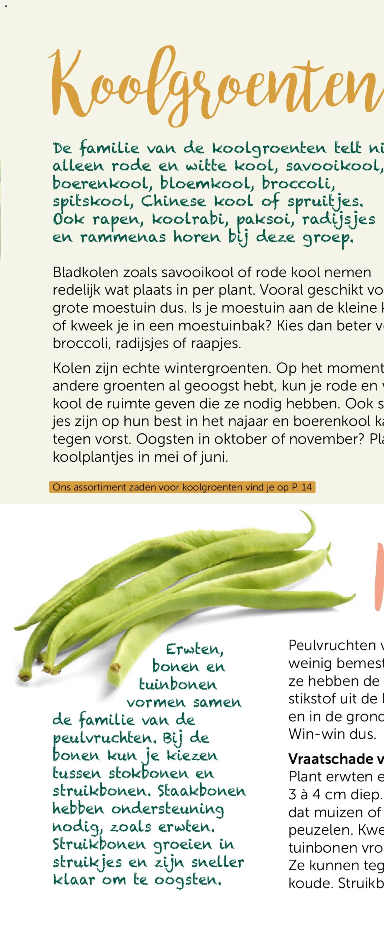 Aveve Groente- en kruidengids