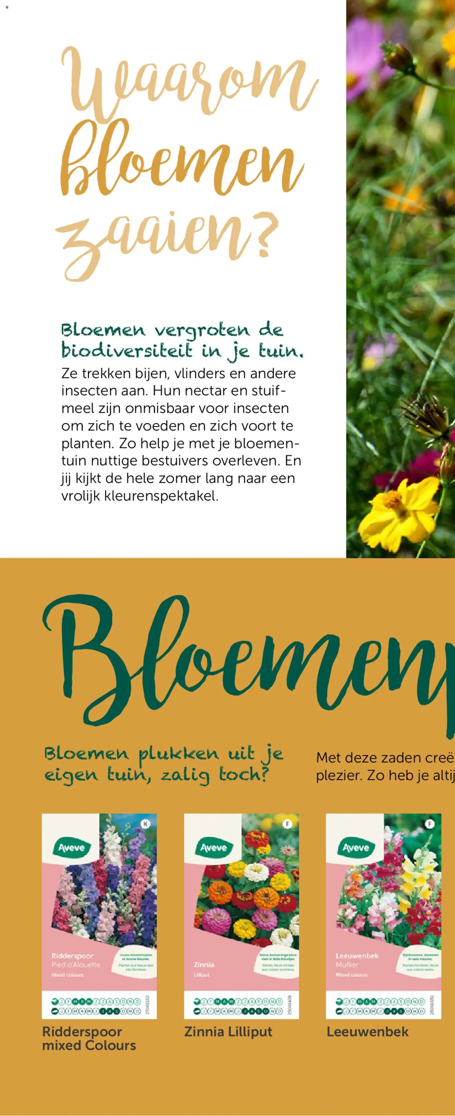 Aveve Groente- en kruidengids