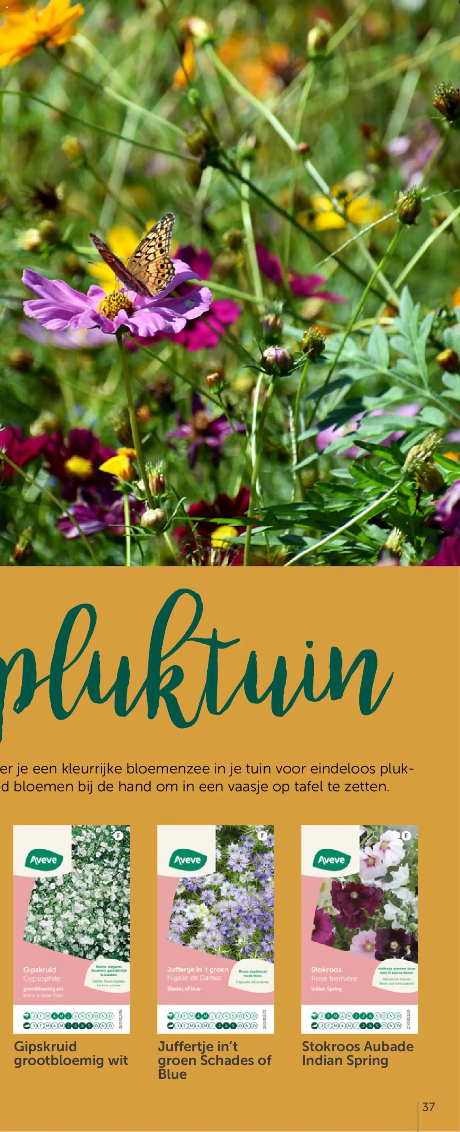 Aveve Groente- en kruidengids
