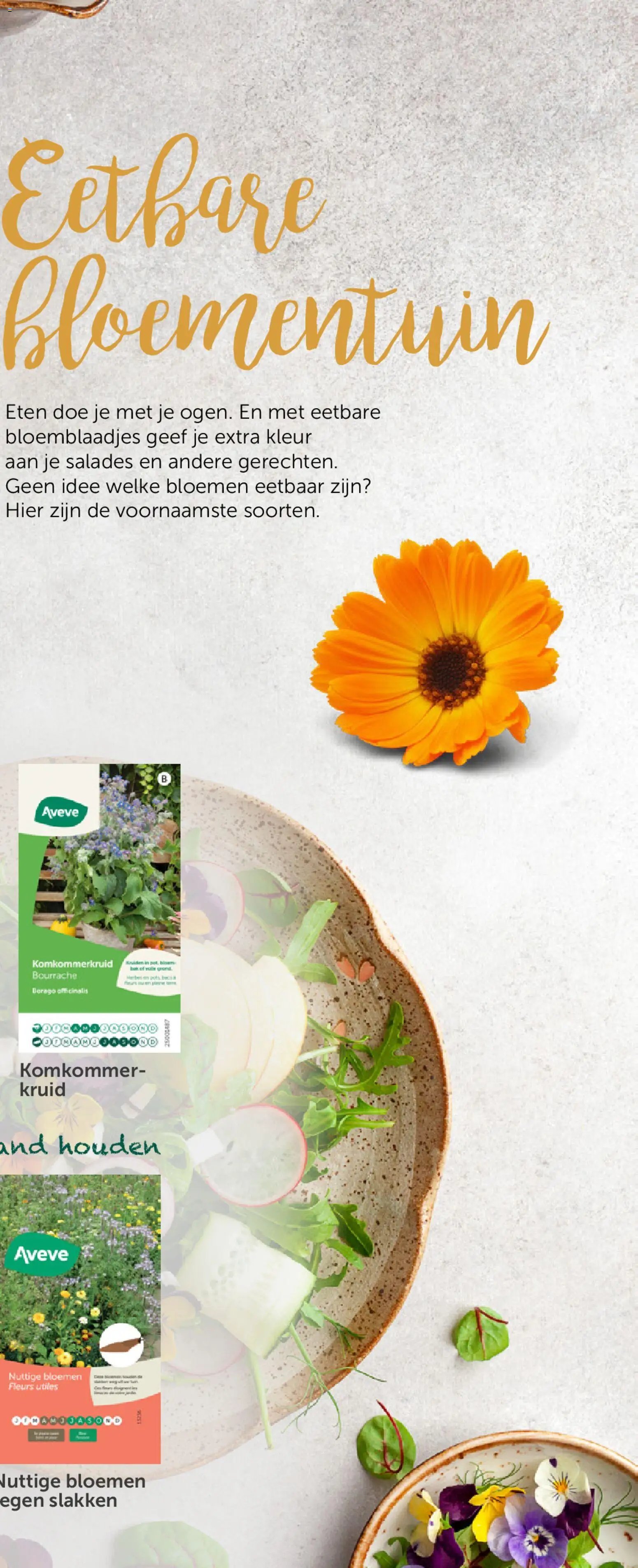 Aveve Groente- en kruidengids