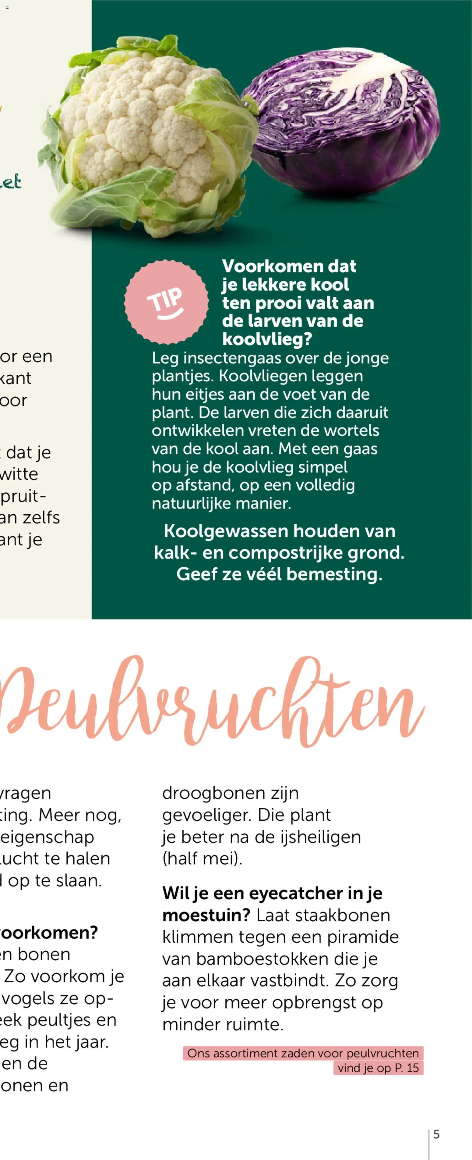 Aveve Groente- en kruidengids