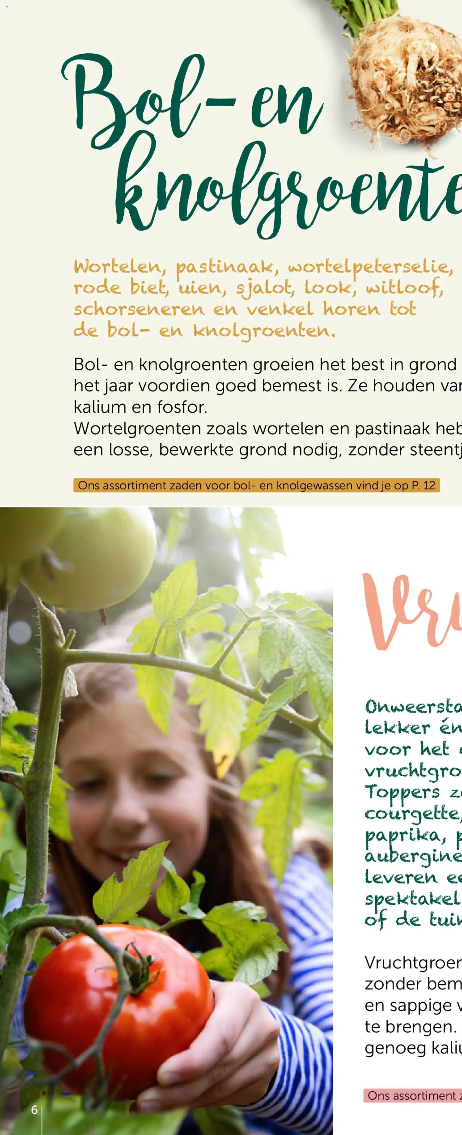 Aveve Groente- en kruidengids